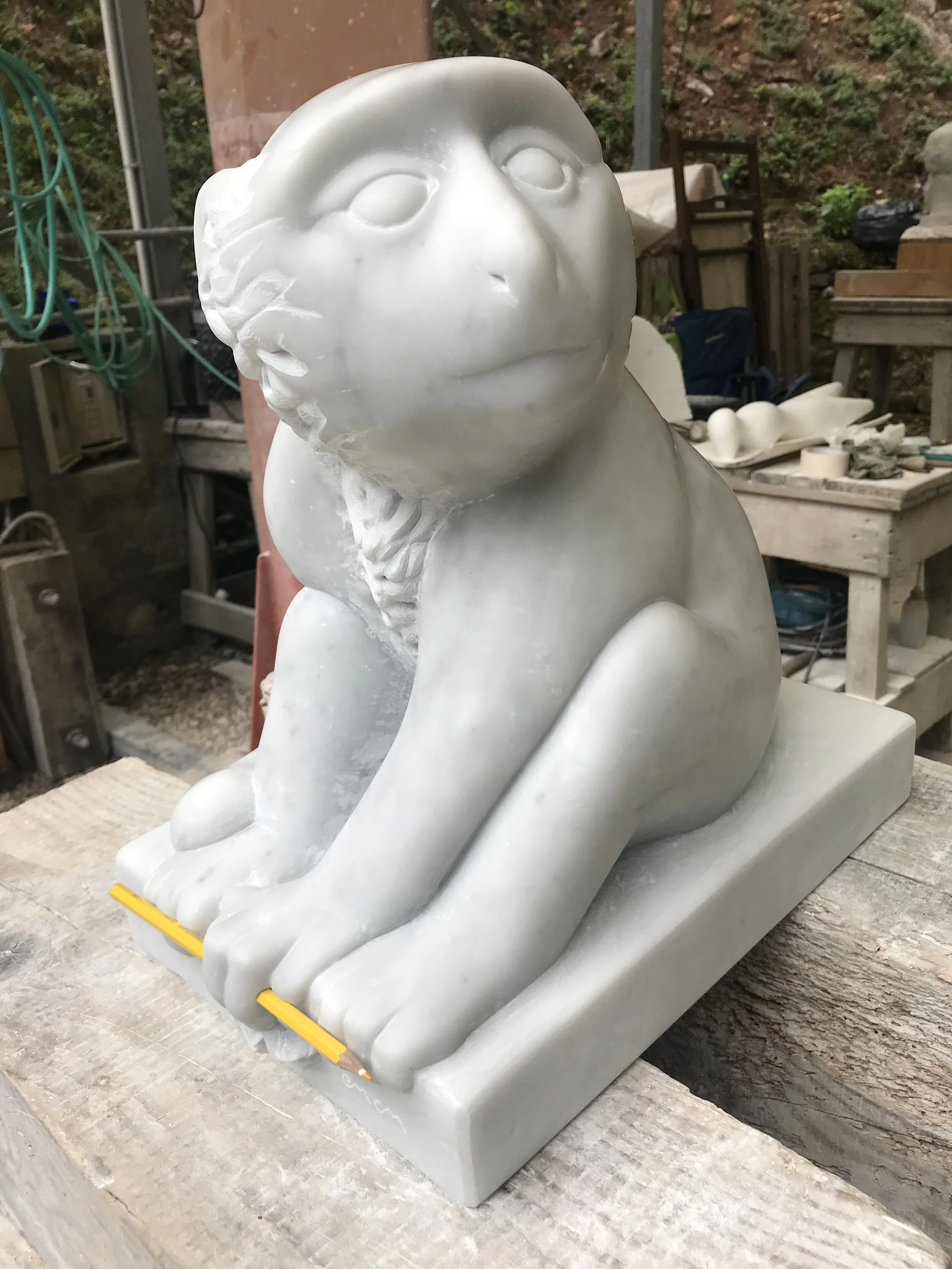 Marble Monkey8.jpeg
