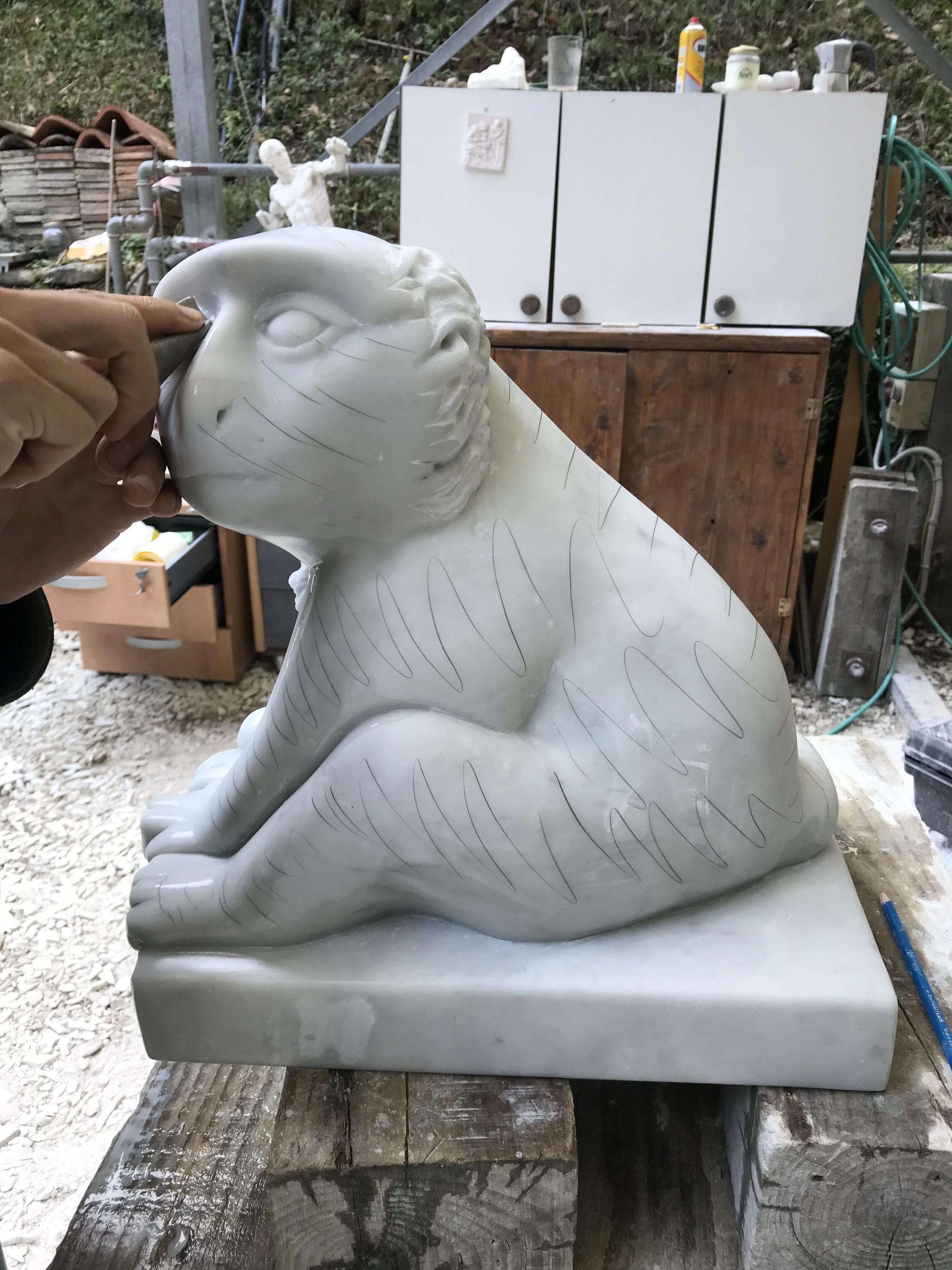 Marble Monkey12.jpeg