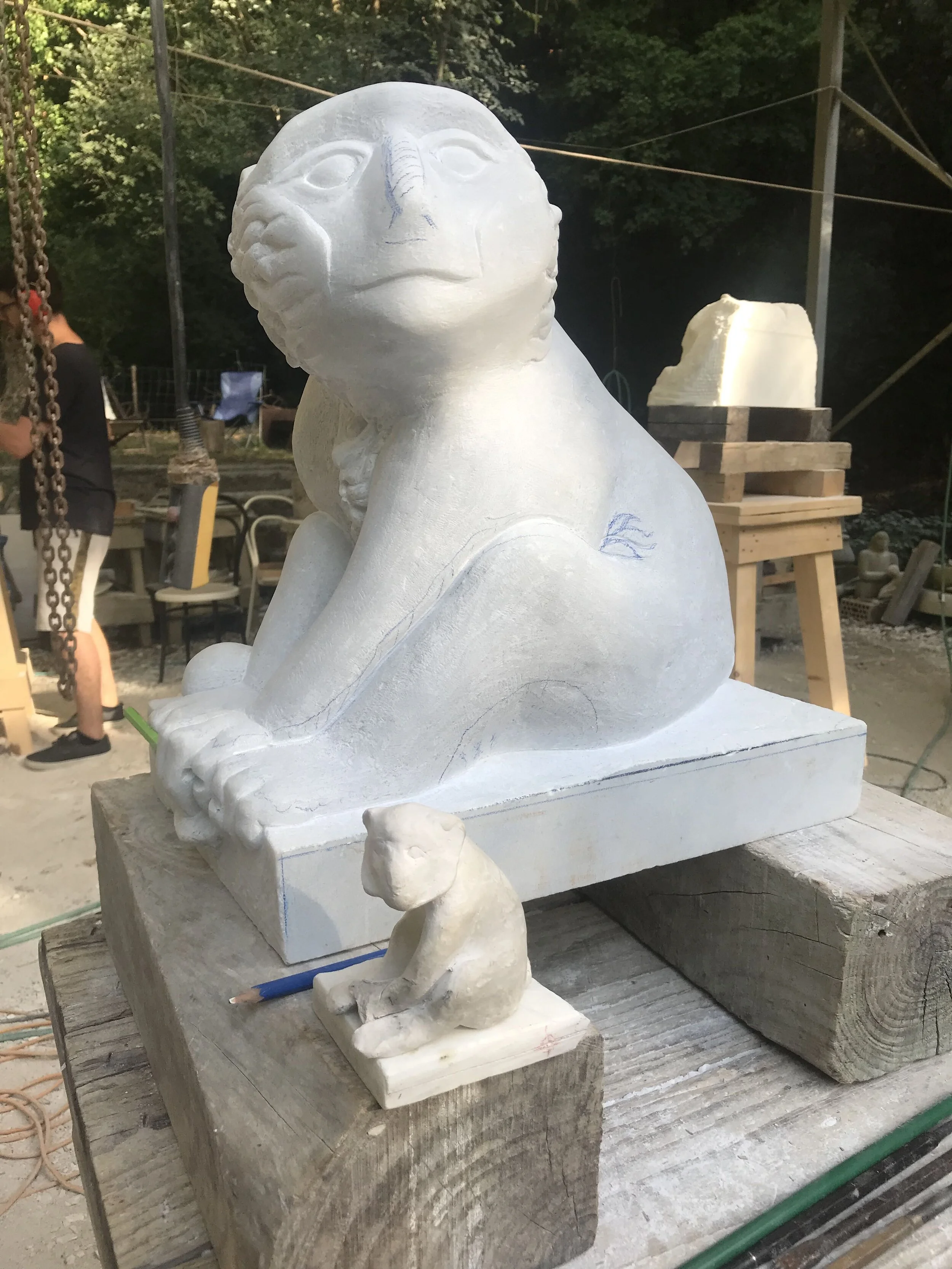 Marble-Monkey mac.jpeg