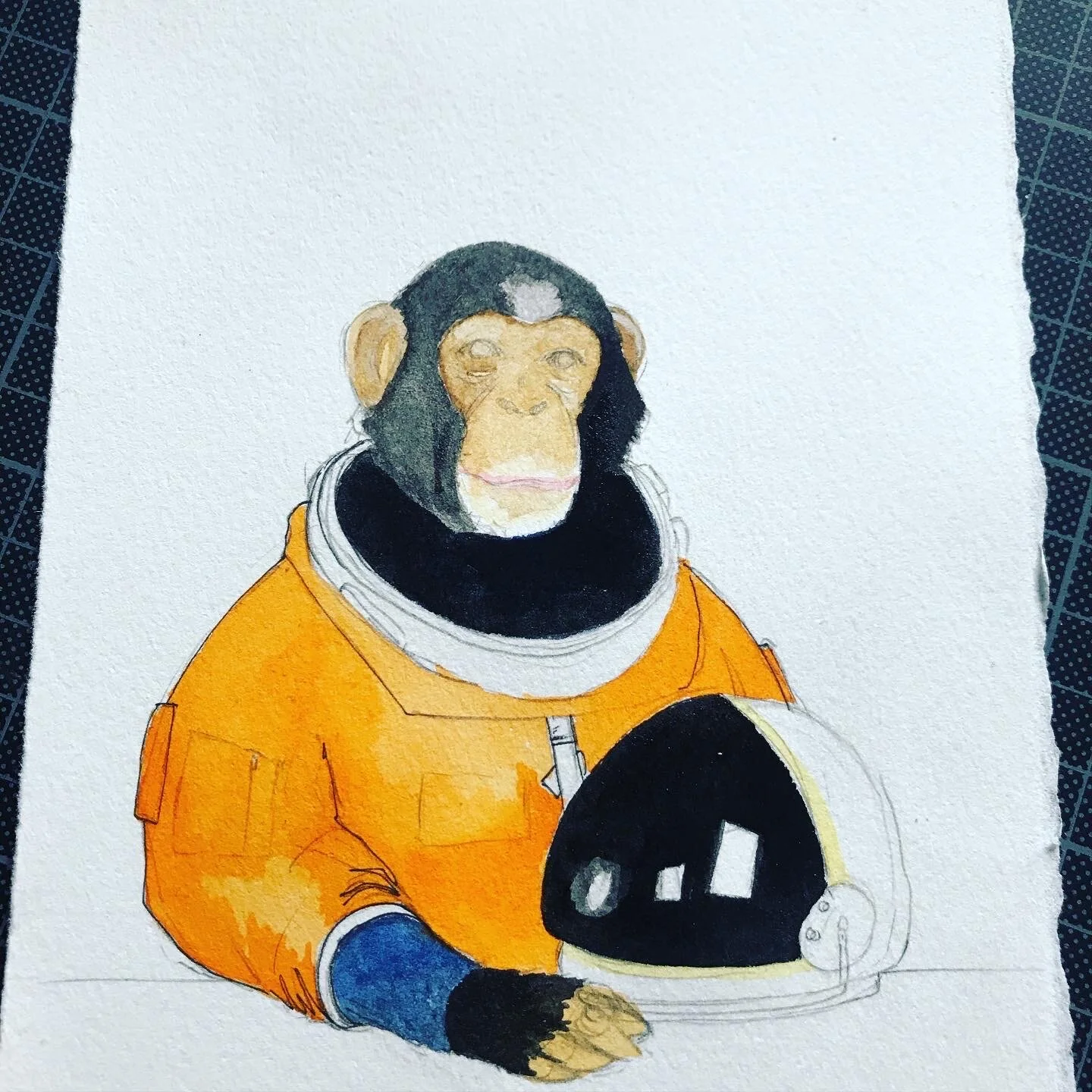 Space-chimp-2.JPG