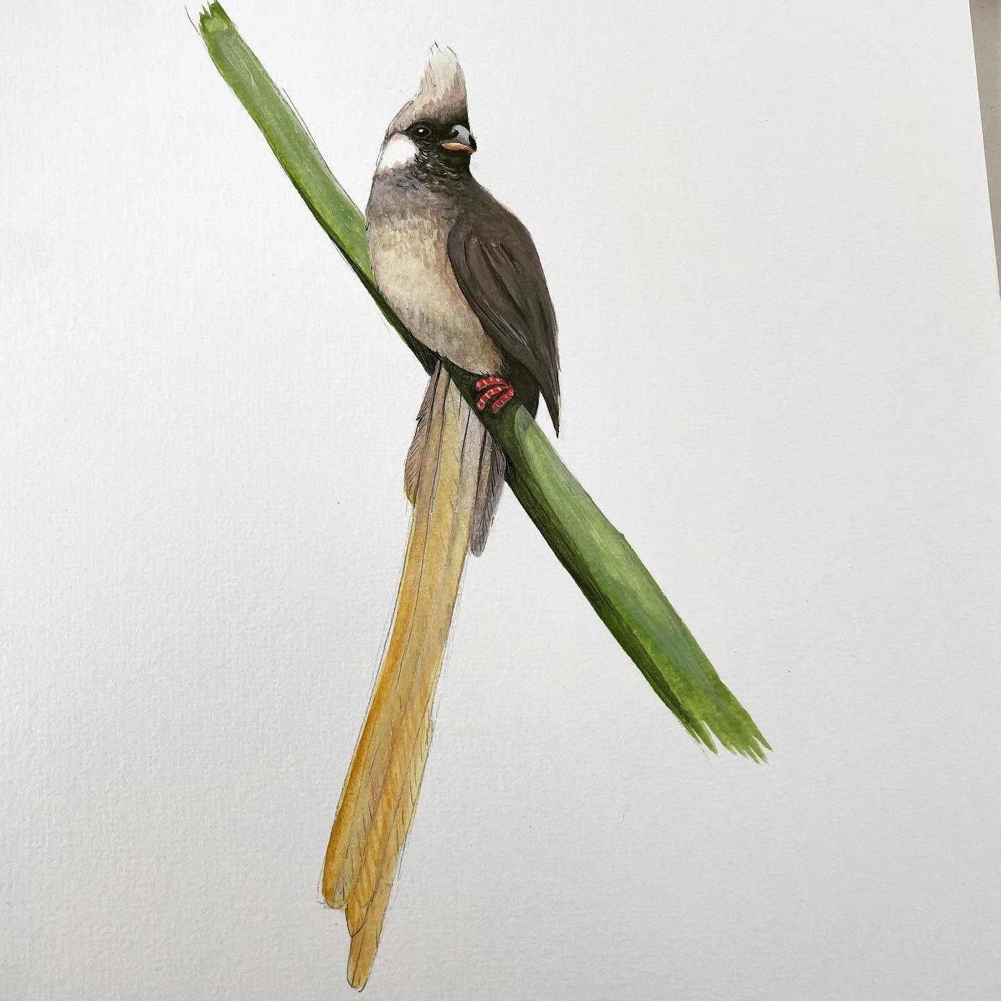 DFED38EE-8769-4B88-B587-44900E7949DC 2.JPG