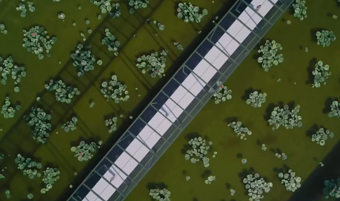 Screenshot 2026-03-09 161902.jpg