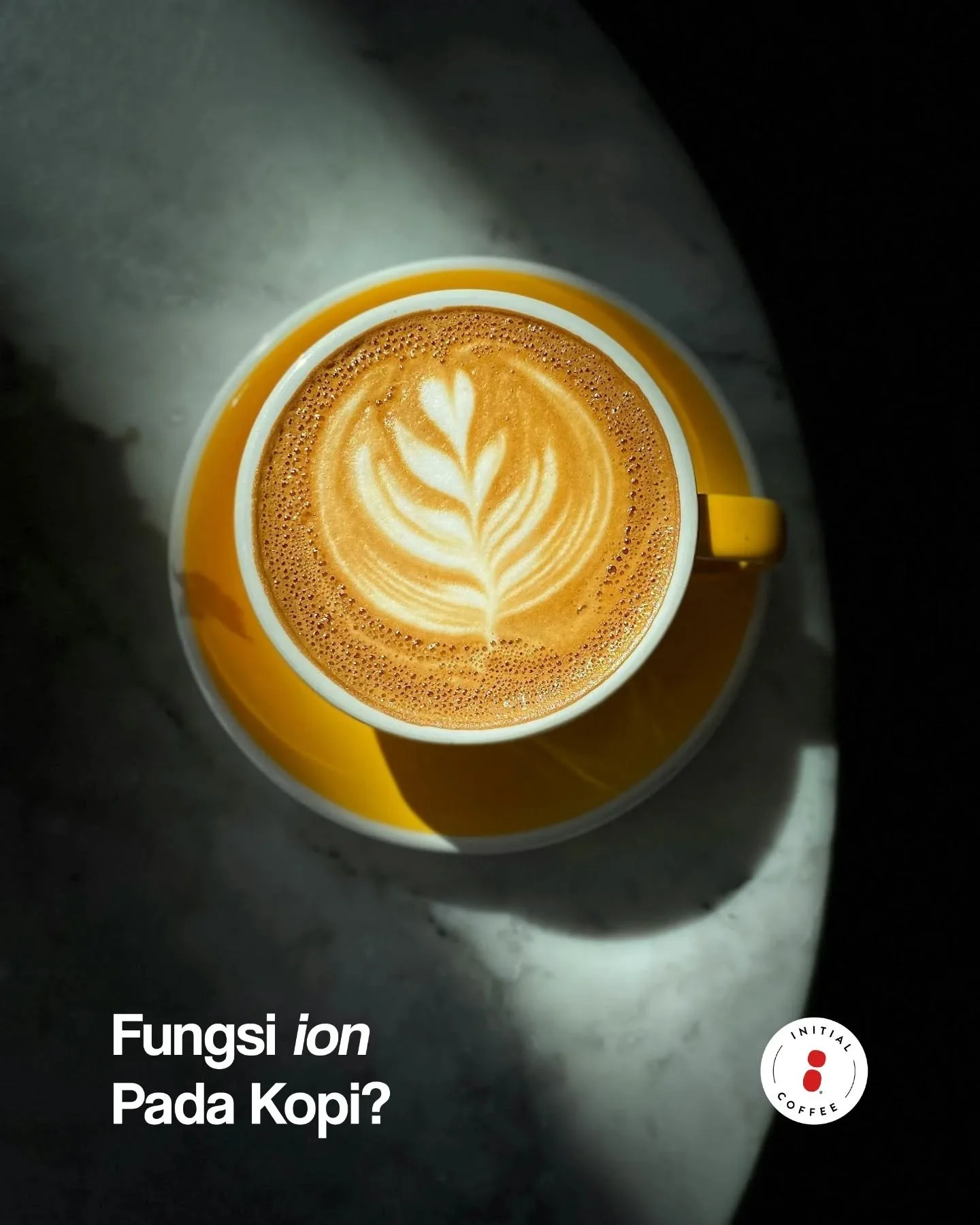 Rasa kopi dipengaruhi oleh banyak unsur kecil salah satunya ion dalam air yang bisa menentukan bagaimana rasa kopi bisa bertahan hingga saat dikonsumsi. 
___

Initial Coffee Roasters
Jl. Anjasmoro No. 32, Surabaya
Senin - Sabtu 09:00 - 17:00
Minggu &