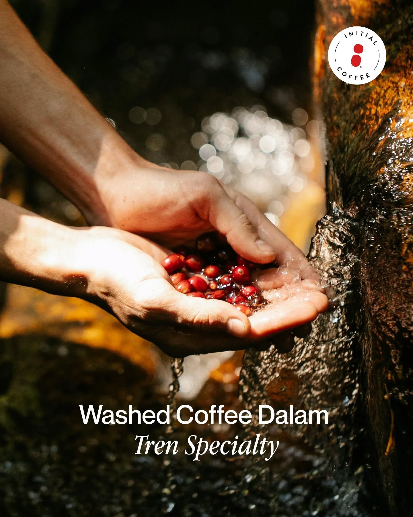 Dikenal karena rasanya cukup bersih dan aftertaste yang konsisten, ini dia Washed Coffee! 
Pilihan tepat untuk penikmat kopi yang lebih menyukai rasa yang lebih detail. 
___

Initial Coffee Roasters
Jl. Anjasmoro No. 32, Surabaya
Senin - Sabtu 09:00 