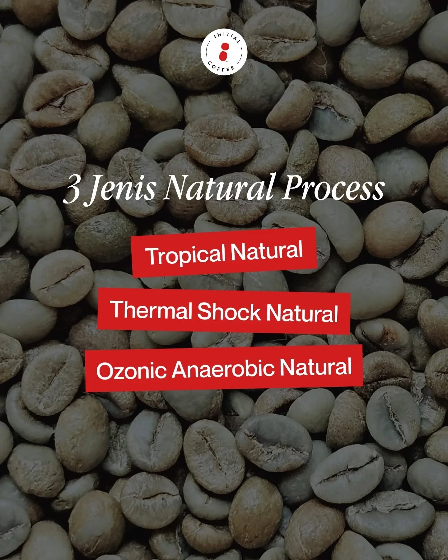 Tiga pendekatan dalam natural process, menghasilkan tiga karakter rasa yang berbeda. ☕️✨️

Satu metode dengan banyak kemungkinan rasa, Teman-Teman Initial pernah dengar yang mana nih?

___

Initial Coffee Roasters
Jl. Anjasmoro No. 32, Surabaya
Senin