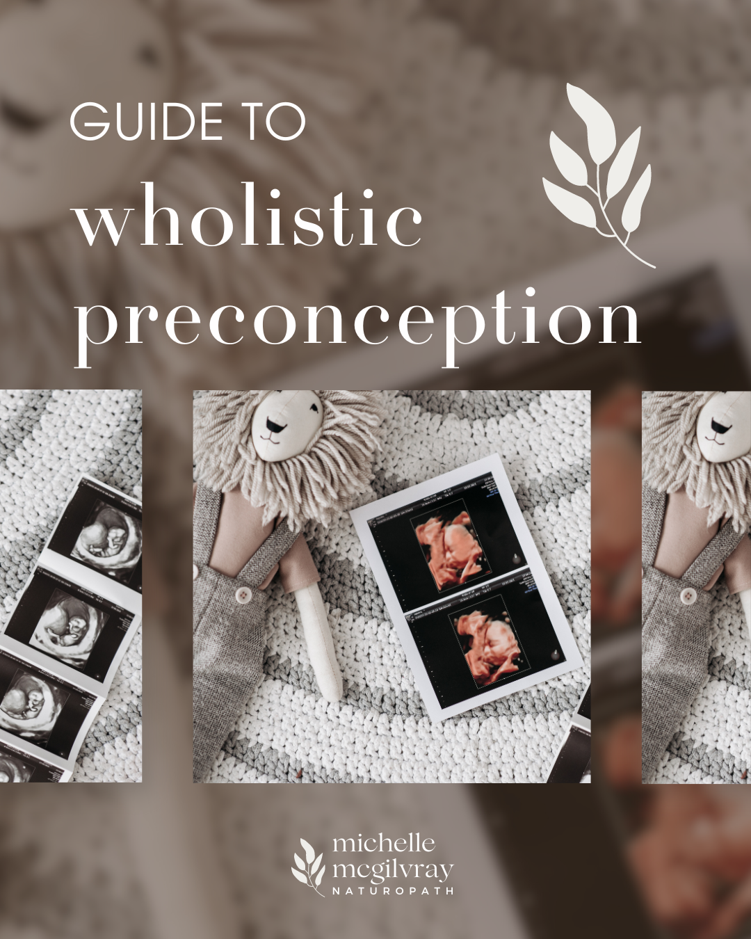 Wholistic Preconception.png