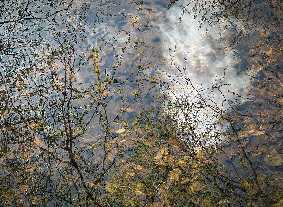 Dreaming II, Barnham Mere
