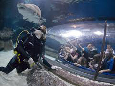 Excursions-Sightseeing-Aquarium.jpg