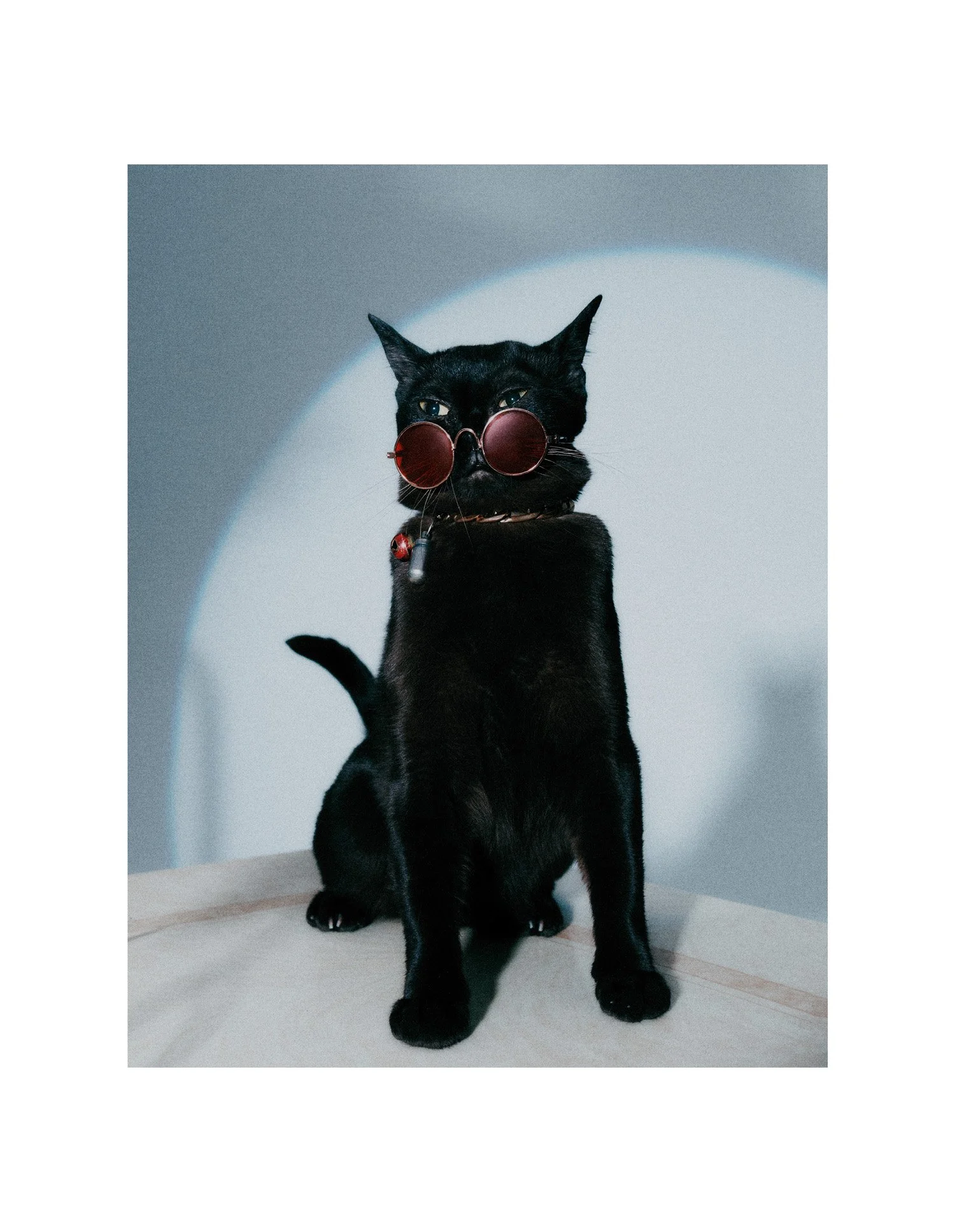 ZARA LARSSON_FINAL7.jpg