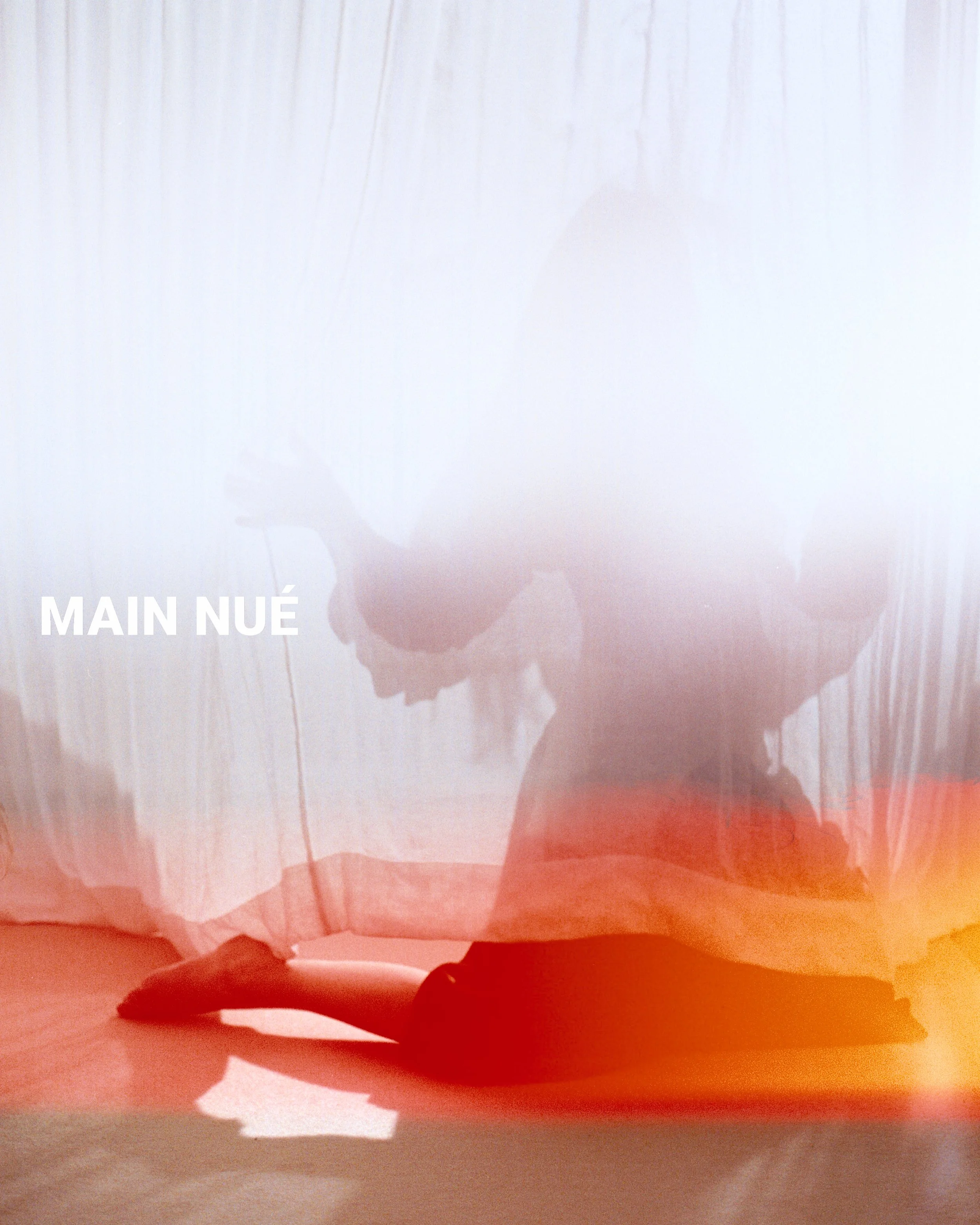 main_nue__nicole__001__3500px__logo.jpg