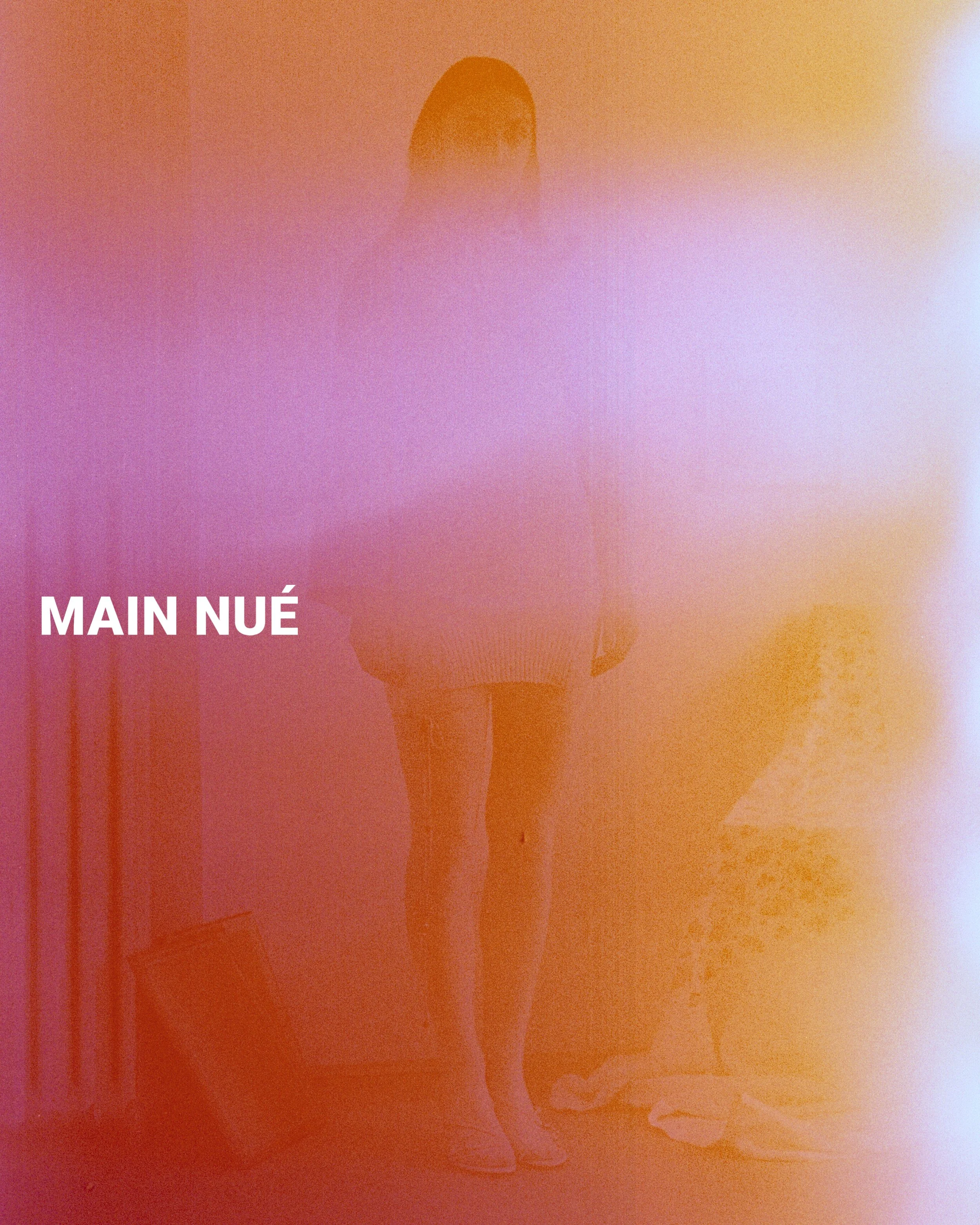 main_nue__nicole__009__3500px__logo.jpg