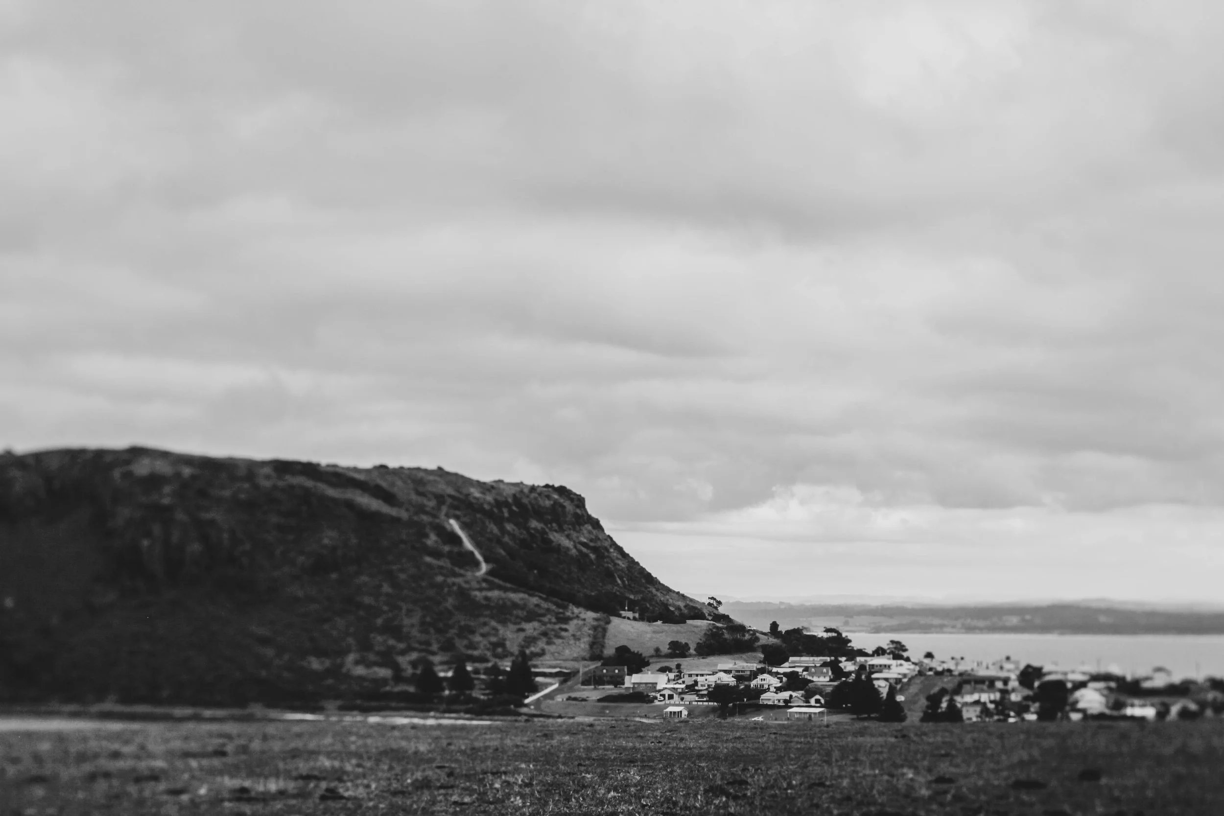 IMG_9900.jpg