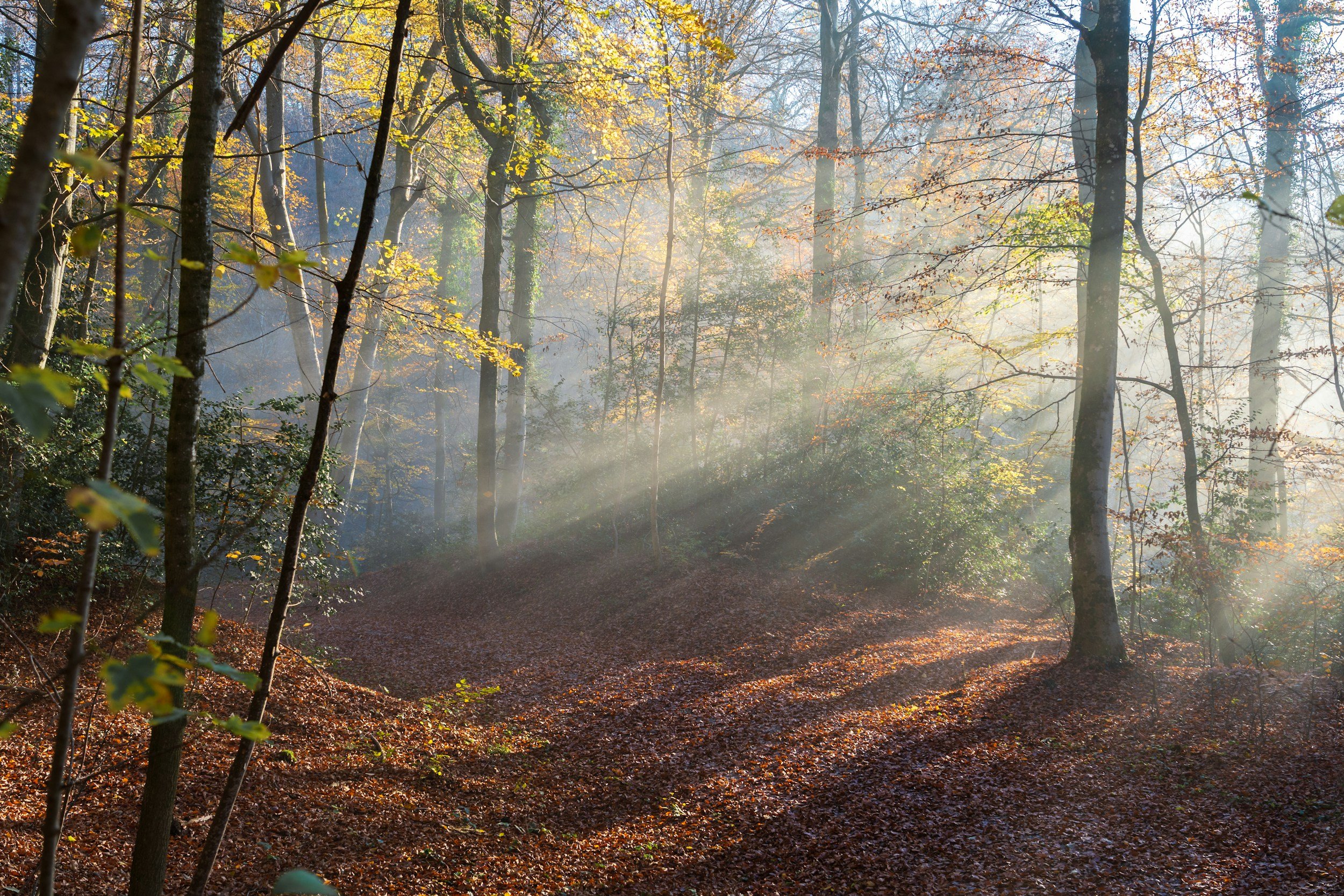 unsplash-image-K4UyszLHfJo.jpg