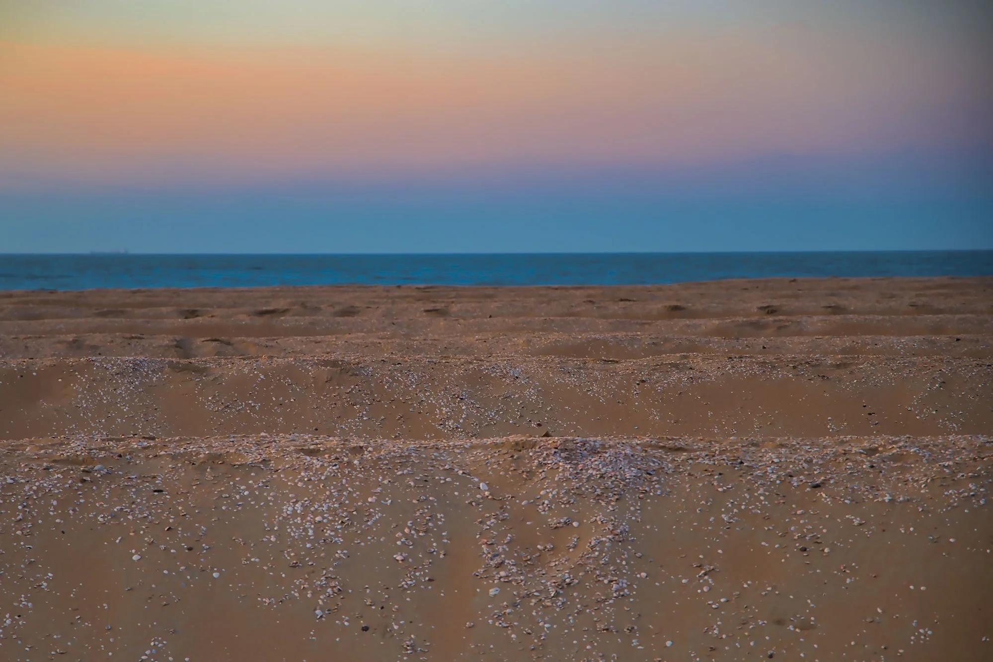 Dutch-beach-2019.jpg