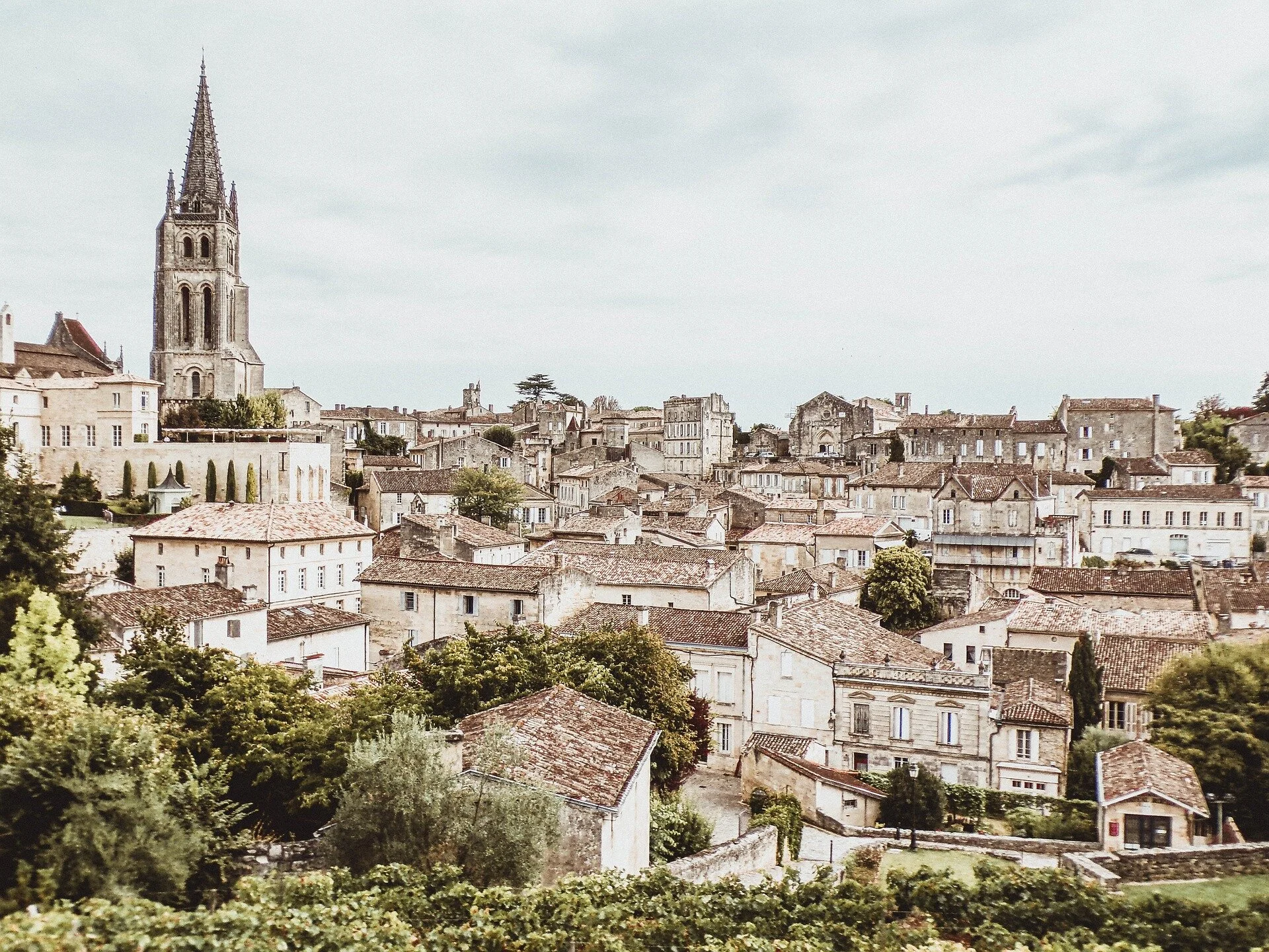 saint-emilion-3876997_1920.jpg
