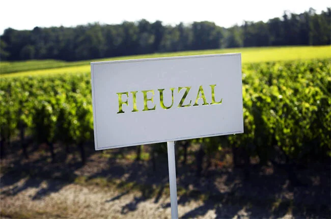 GRAVES ch fieuzal.jpg