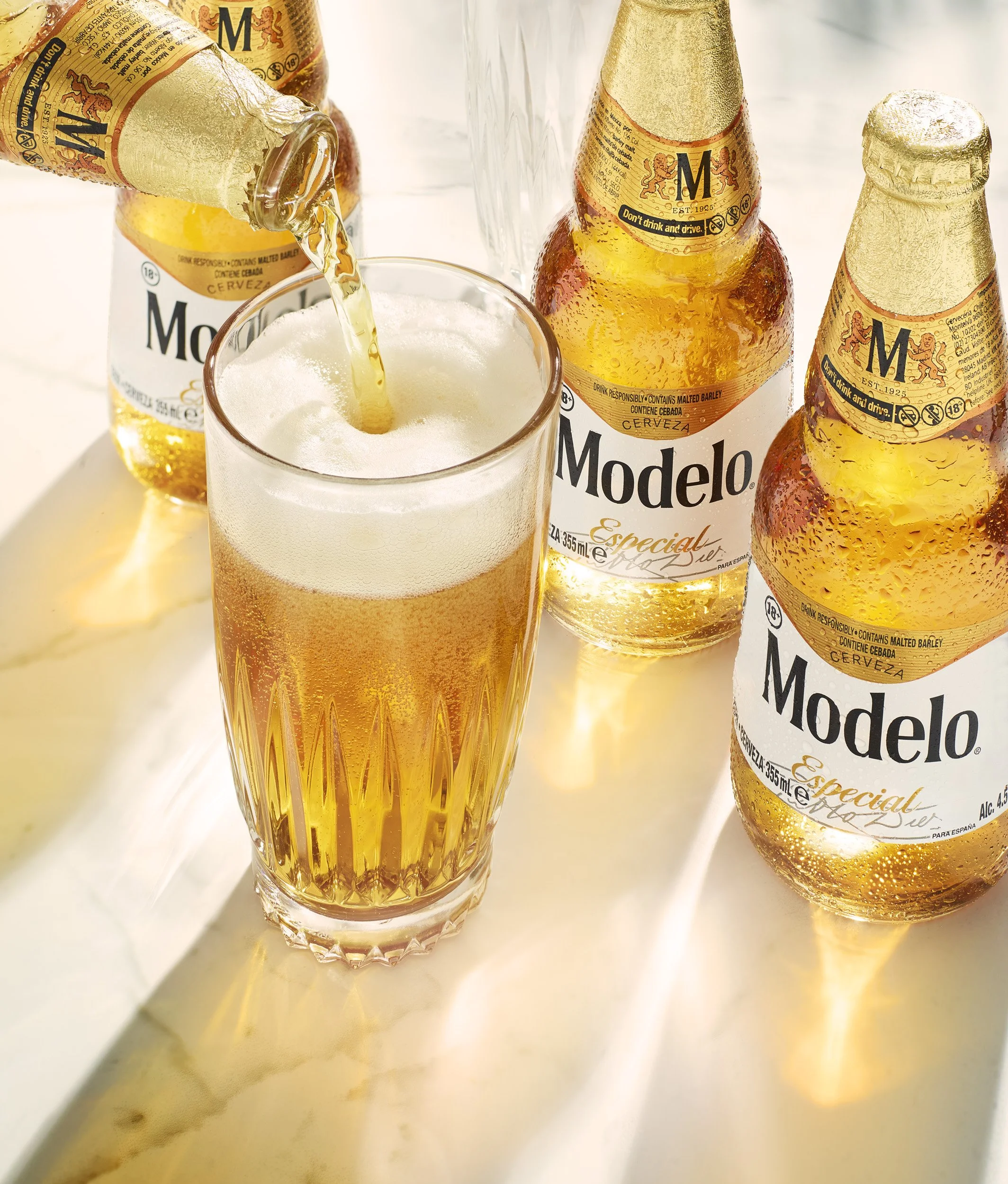 modelo.jpg