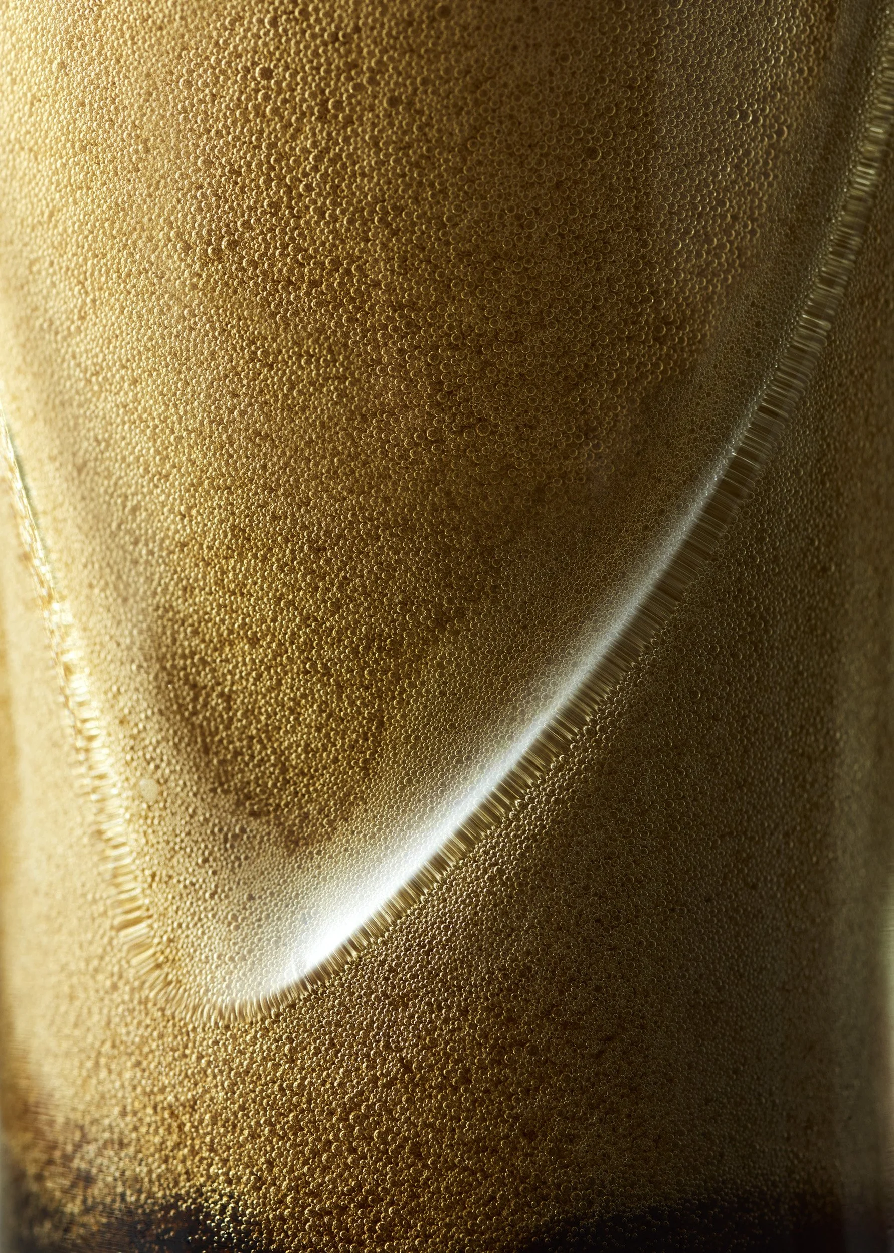 guinness bubbles.jpg