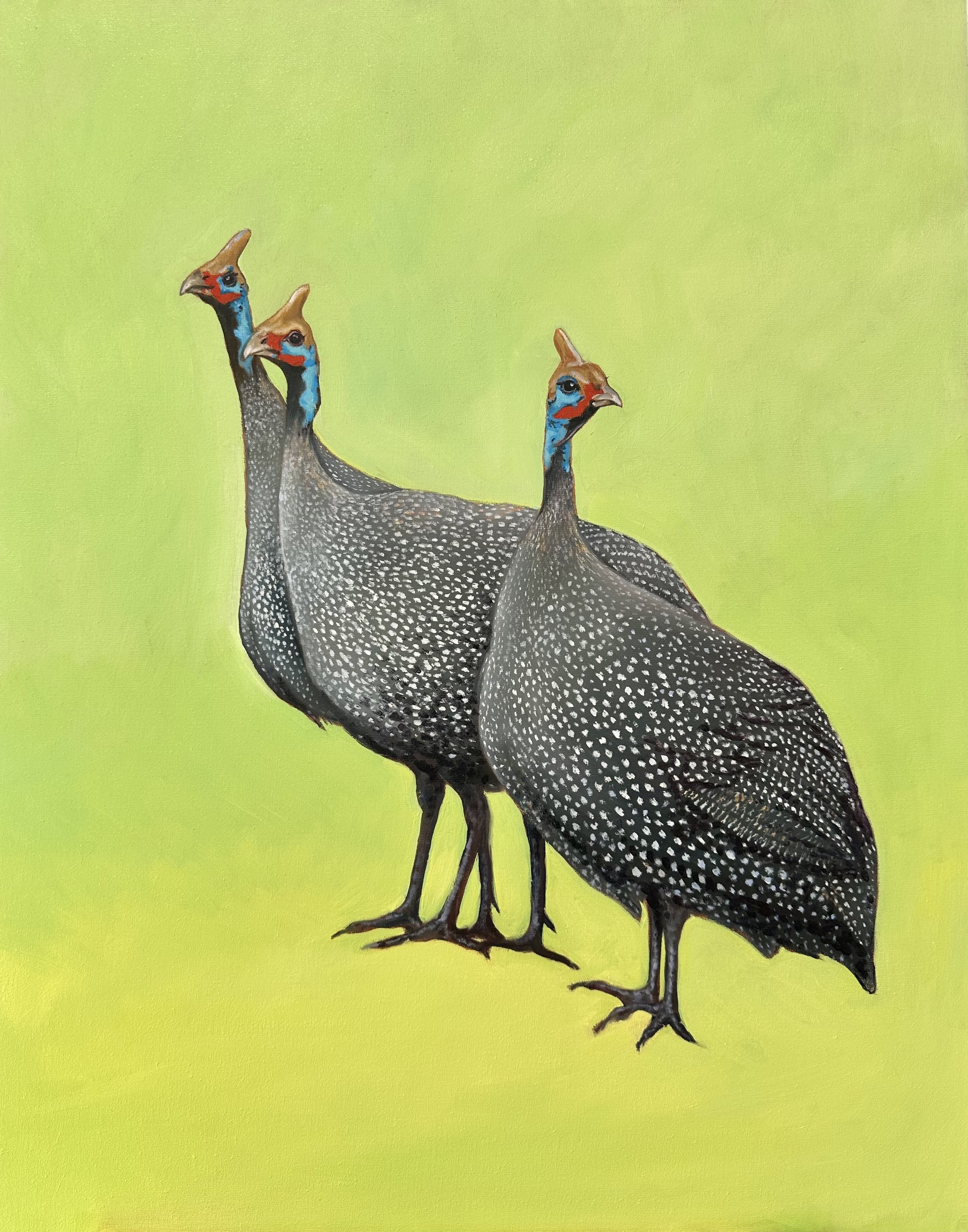 A Trio of Guinea Fowel £800