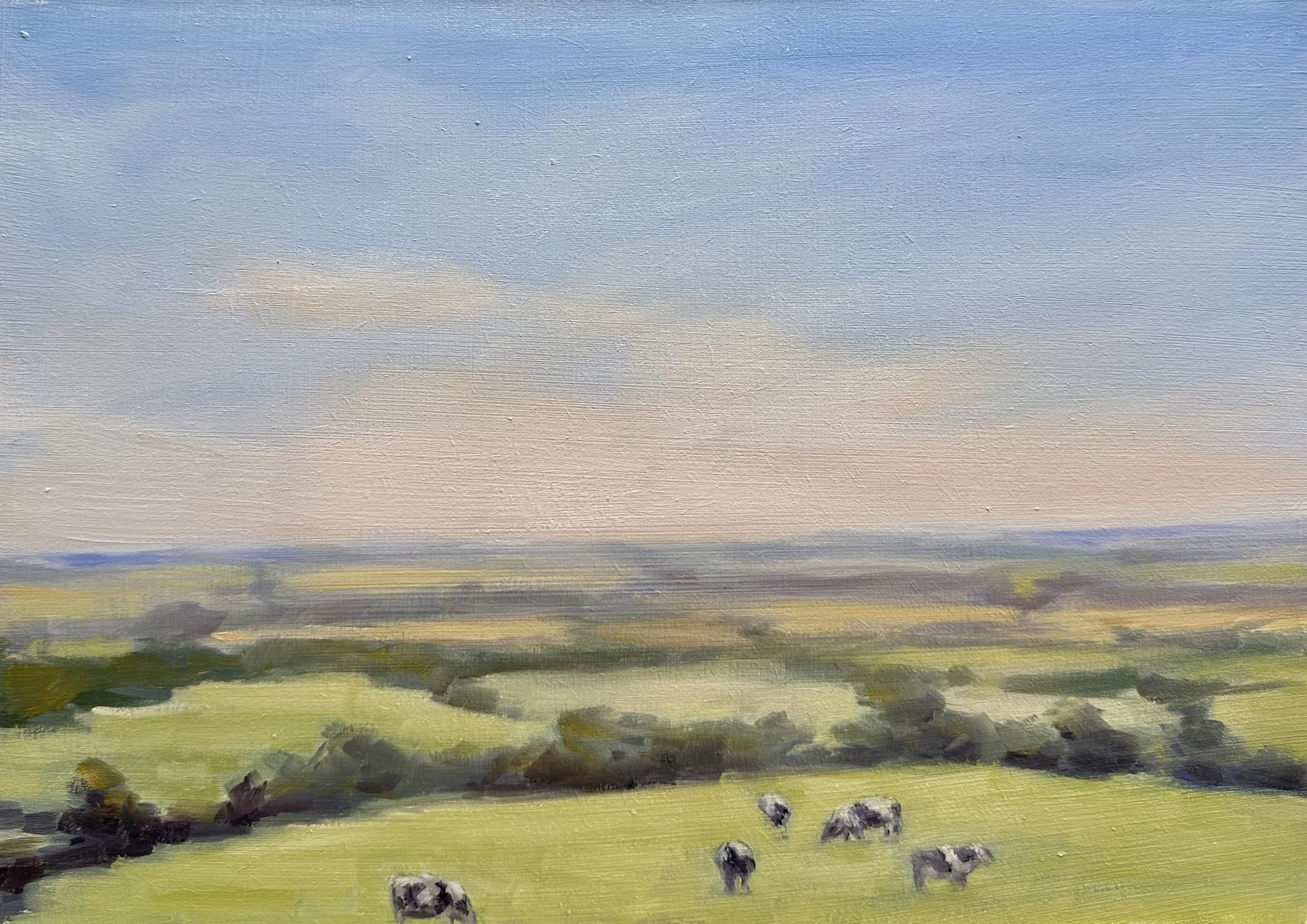 Faraway Cows £250