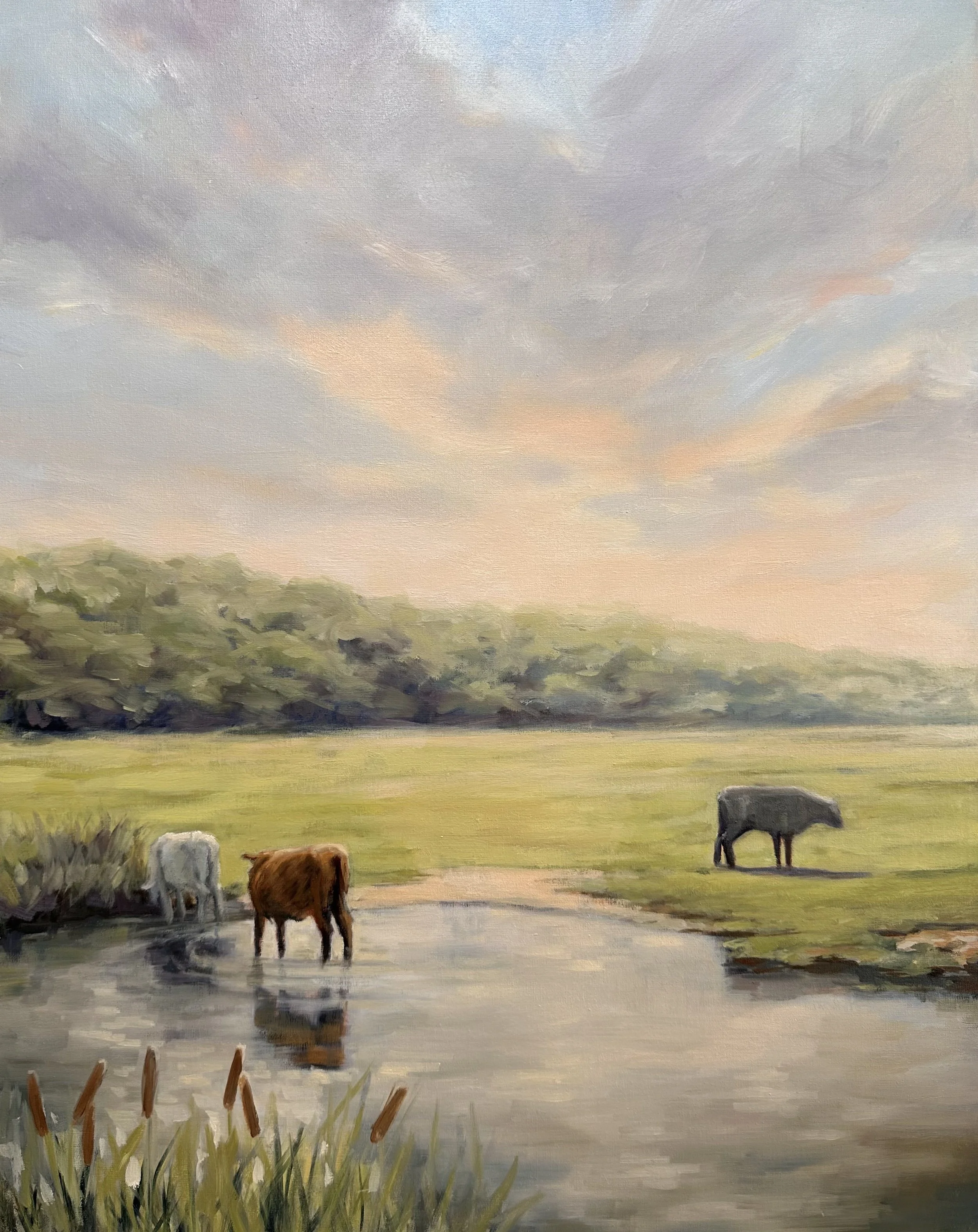 Stockbridge water meadow Cows £495