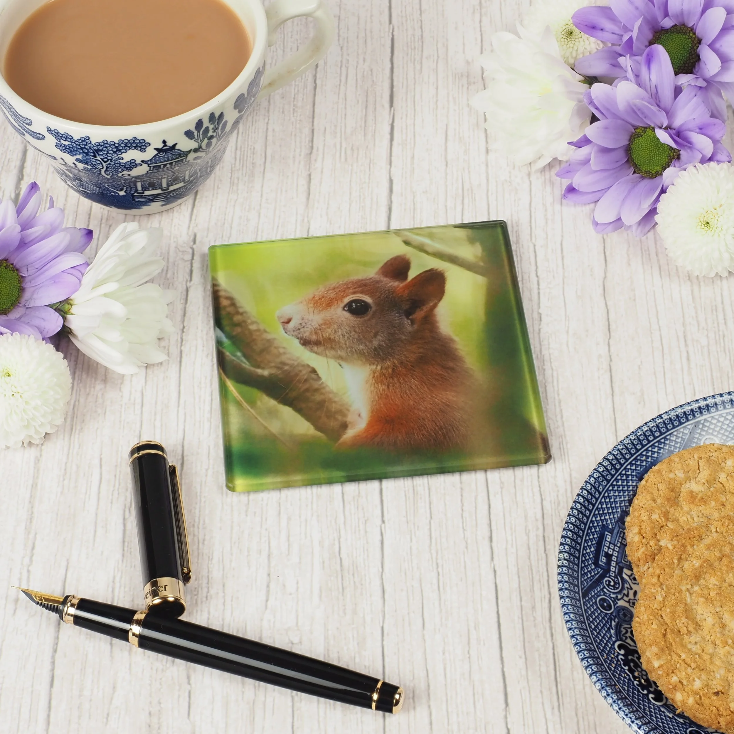 Red Squirrel Coaster 1 - Glass
