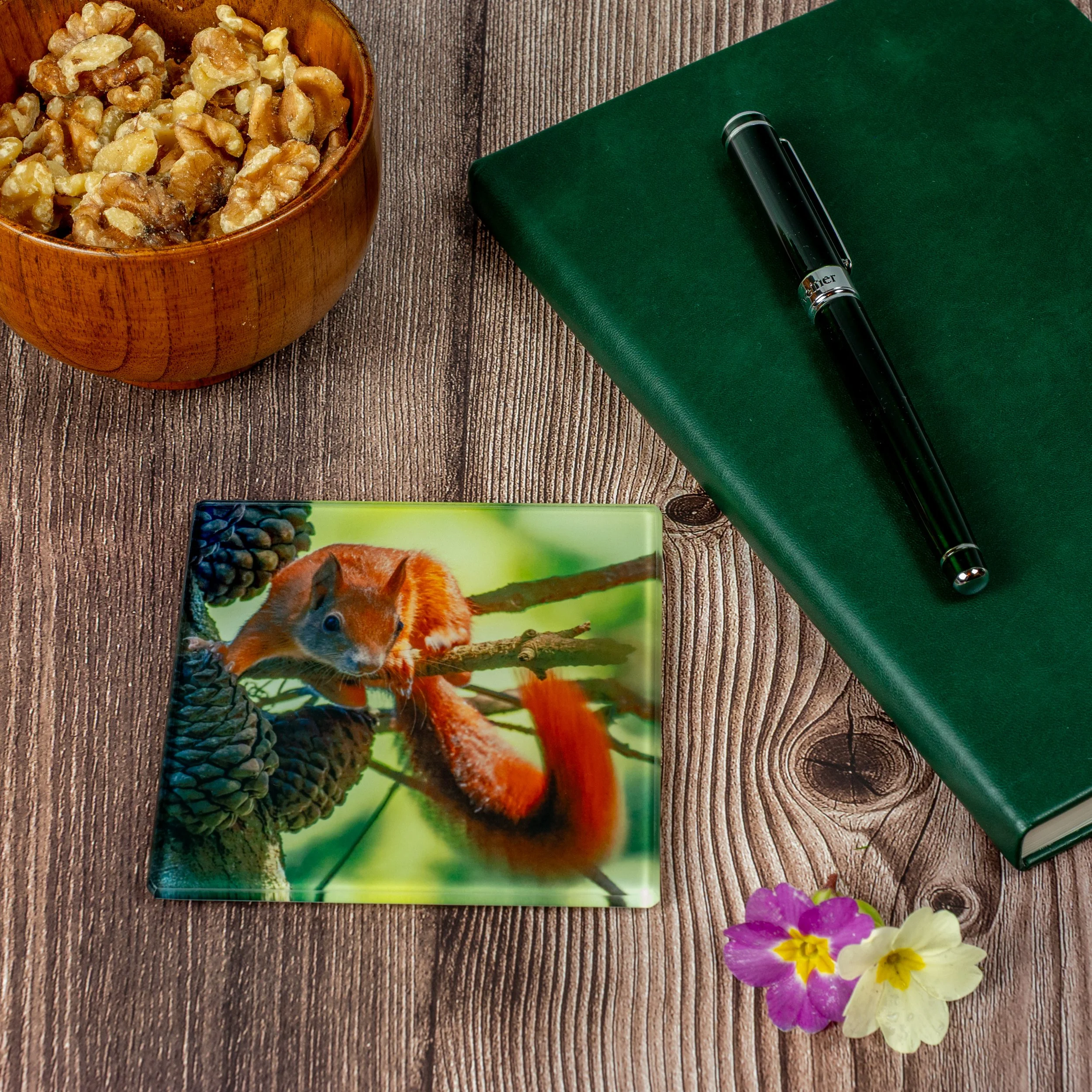 Red Squirrel Coaster 2 - Glass