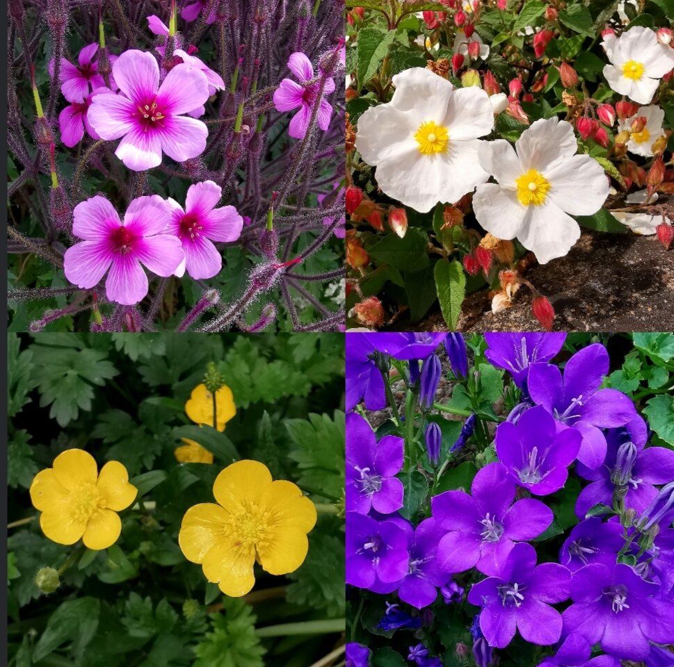 May: The beautiful month
