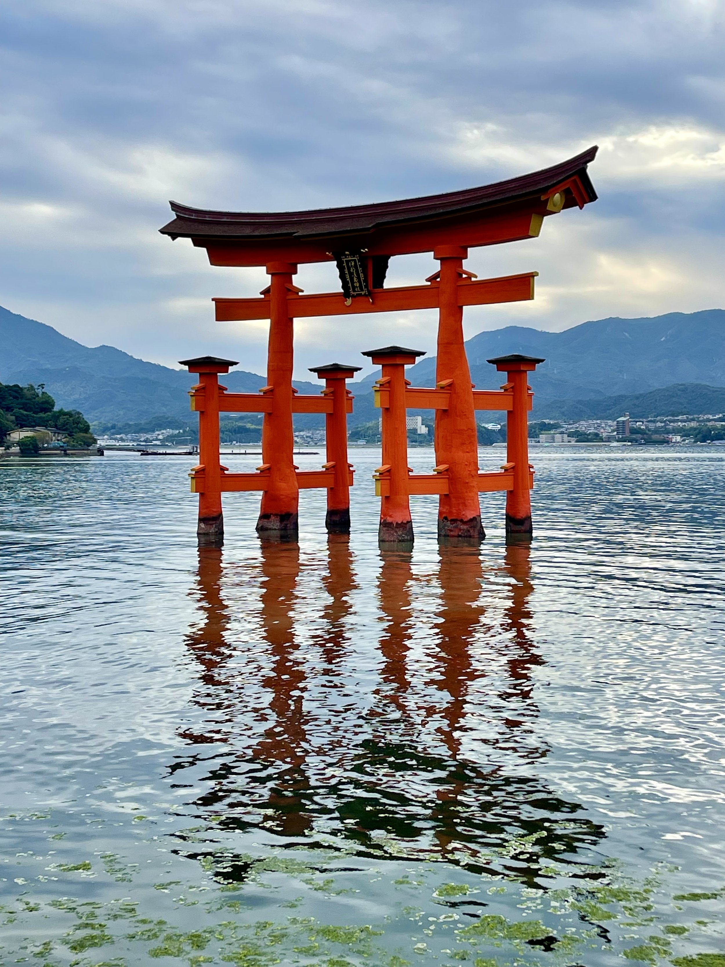 Joyful Japan