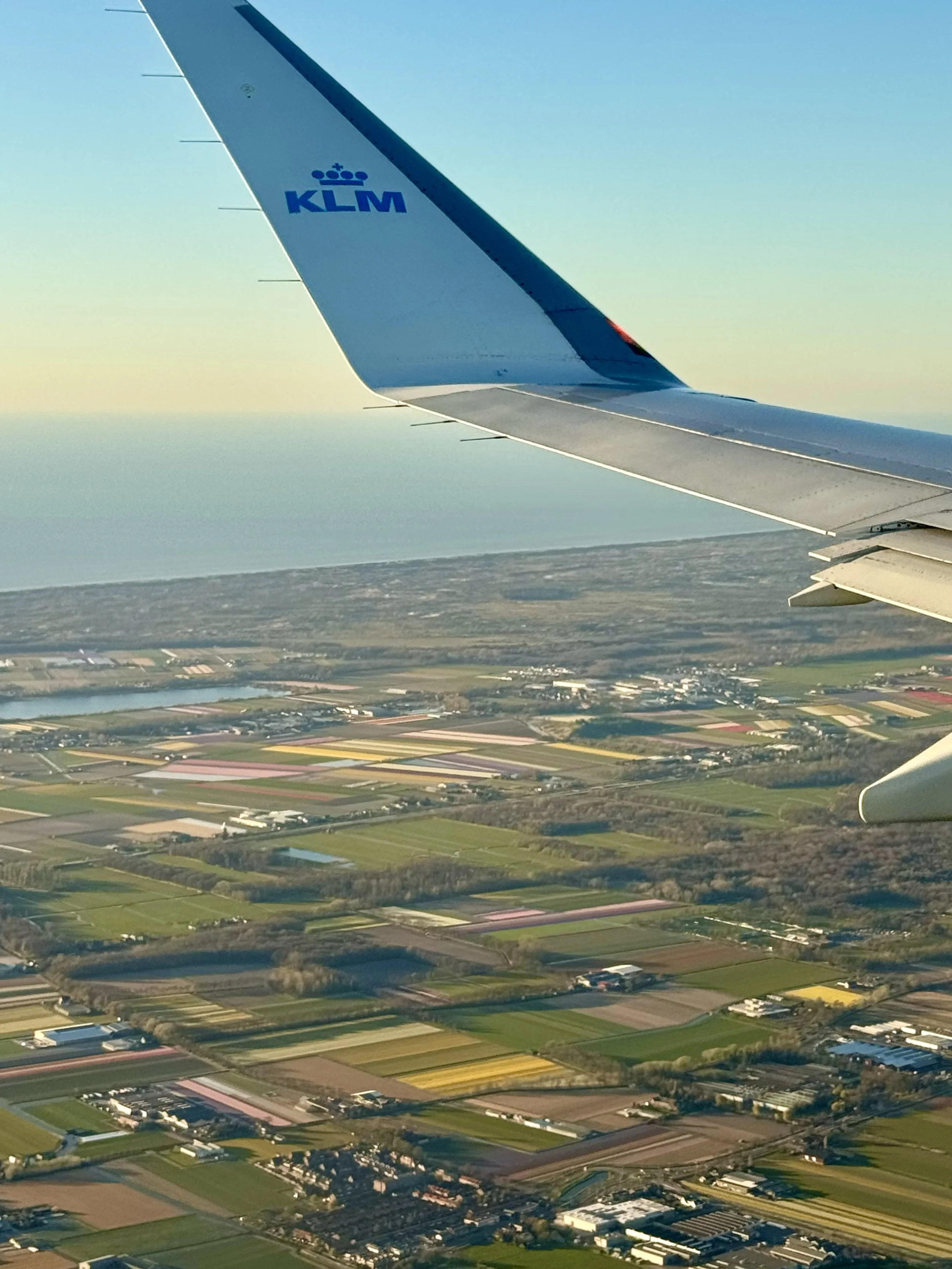 The wing of a KLM plane soars above a scene of fields with rows of brightly coloured flowers, and the sea of the Dutch coast in the background