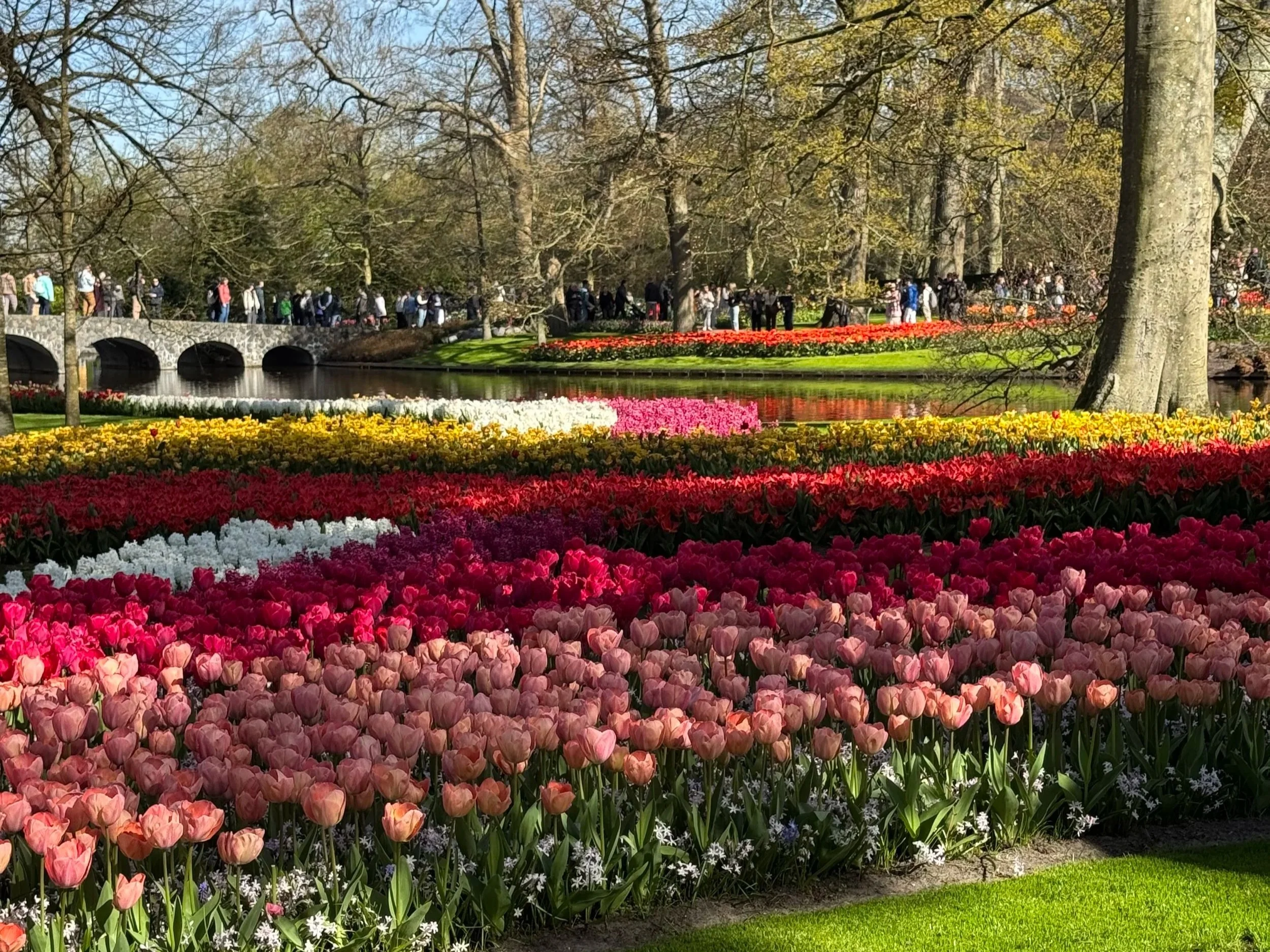 A large display of pink, red, white, and yellow tulips takes up half the photo. A low arched stone bridge with many people walking across it appears from the mid left. More flowers and people are on the otherside of the water.