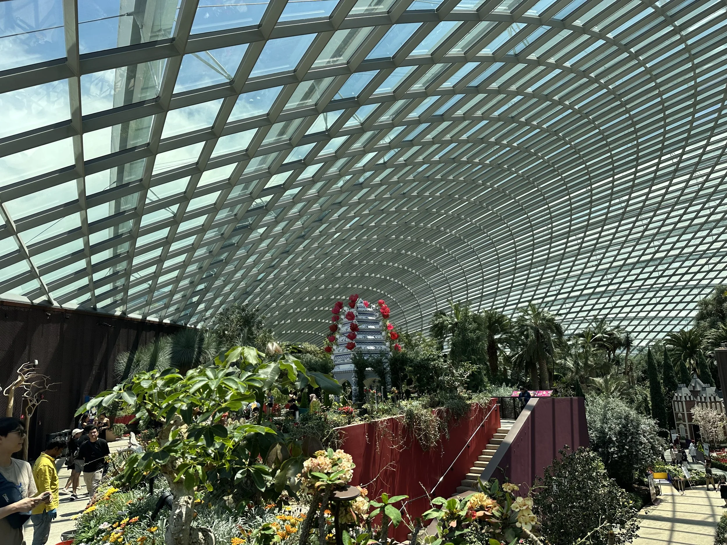 IMG_7592.jpeg