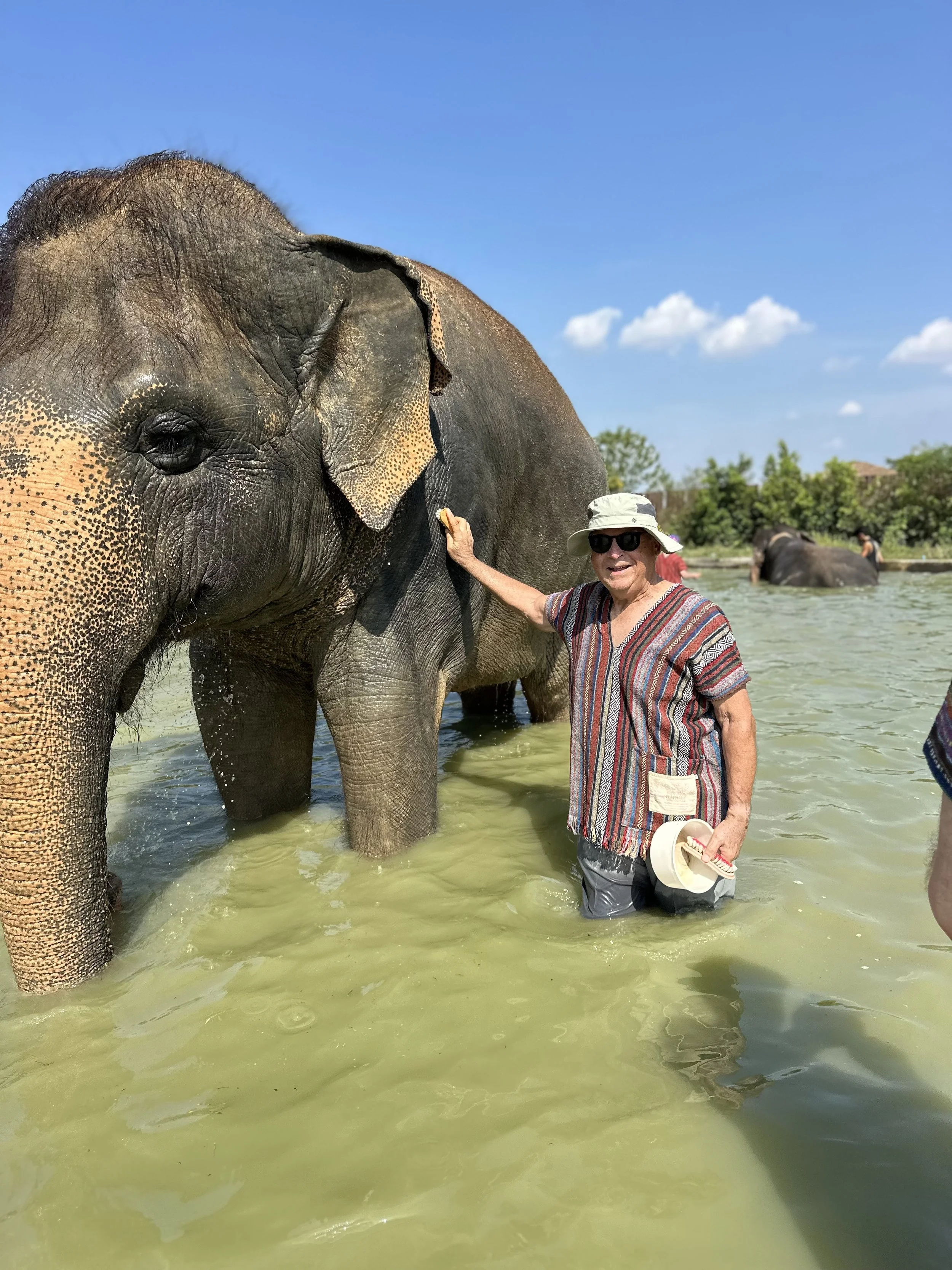 FF elephant.jpg