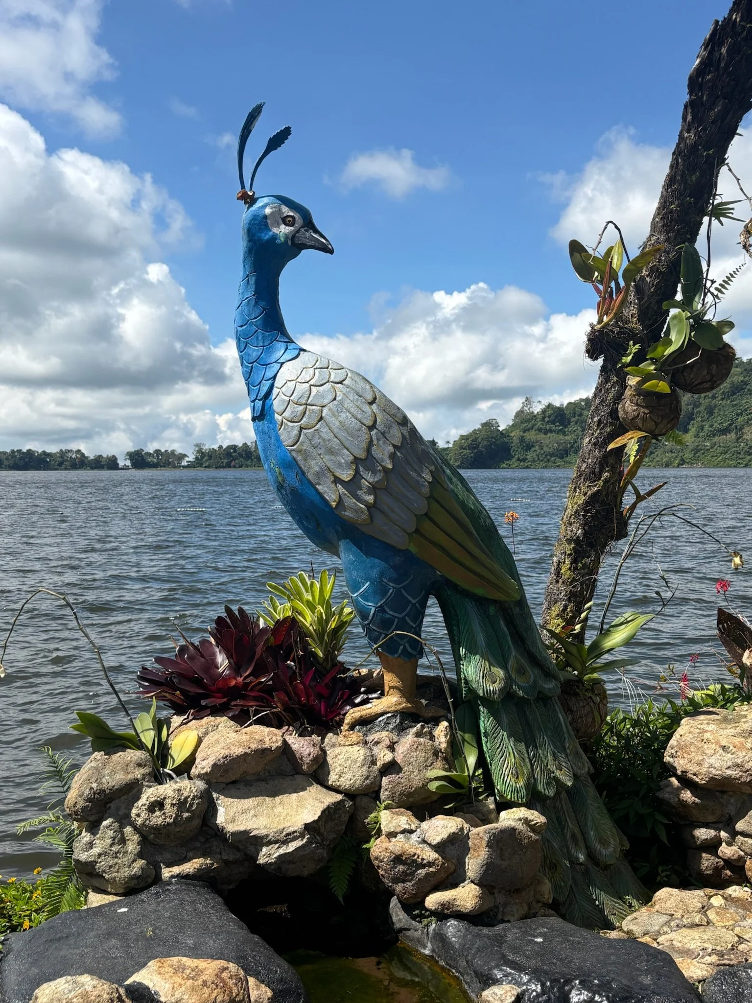 lakebird.JPG