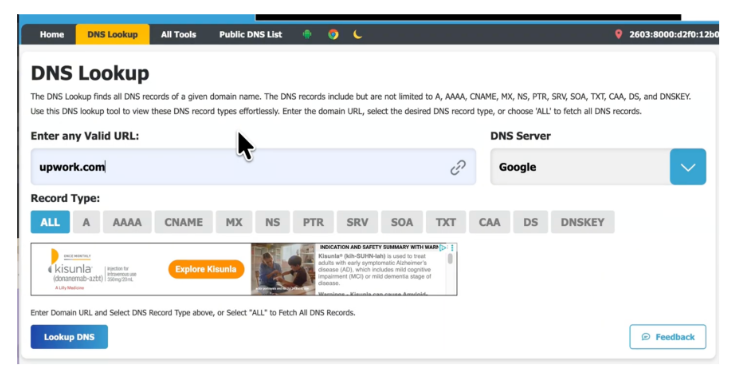 DNS File Lookup