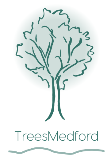 TreesMedford