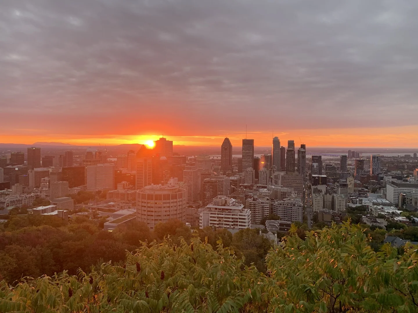 A New Day Dawns ...with sniffles !