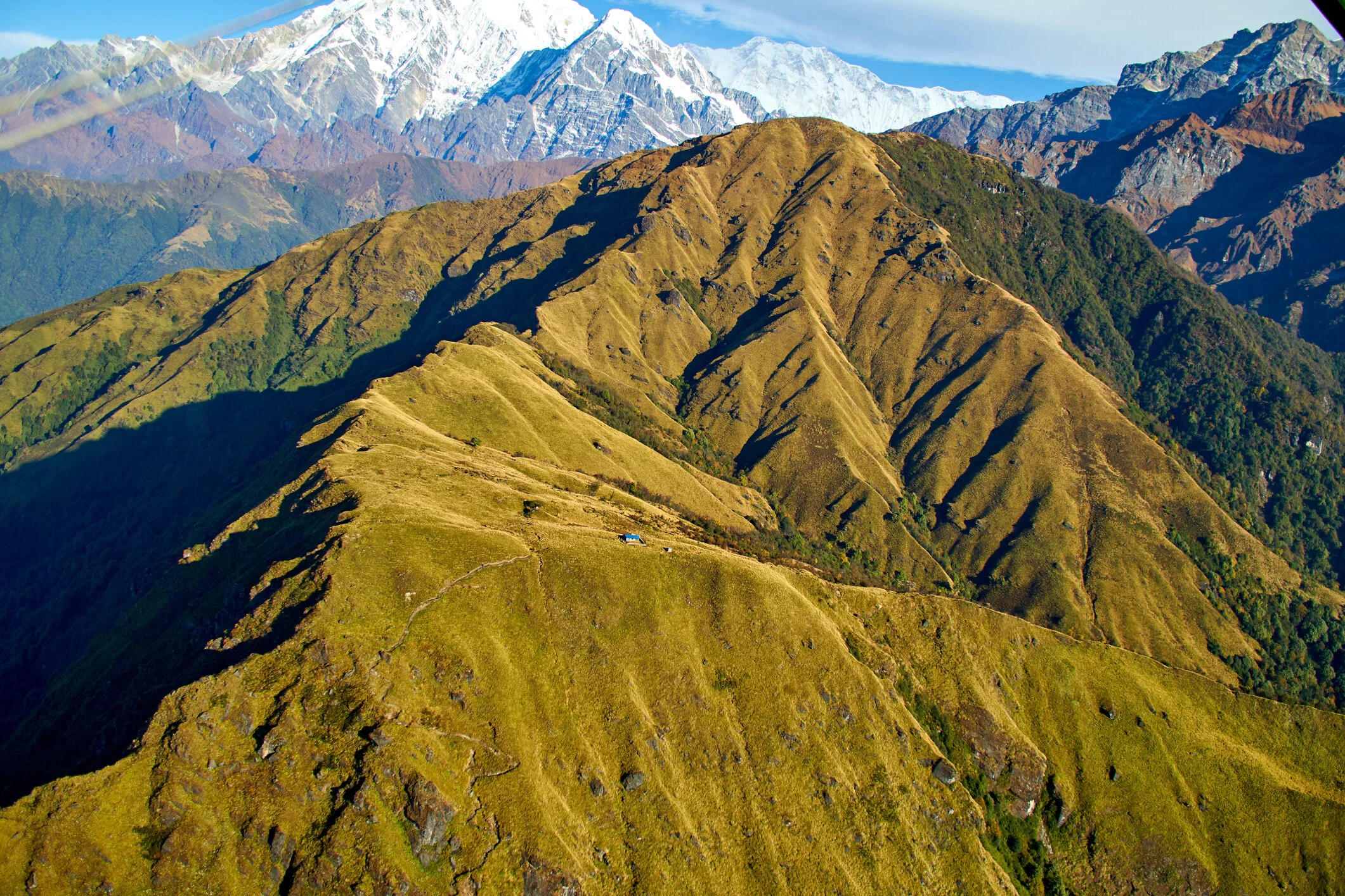 RunTrailView.jpg