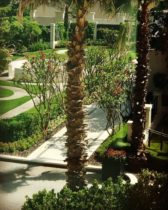 Al Safa gardens, Dubai, UAE