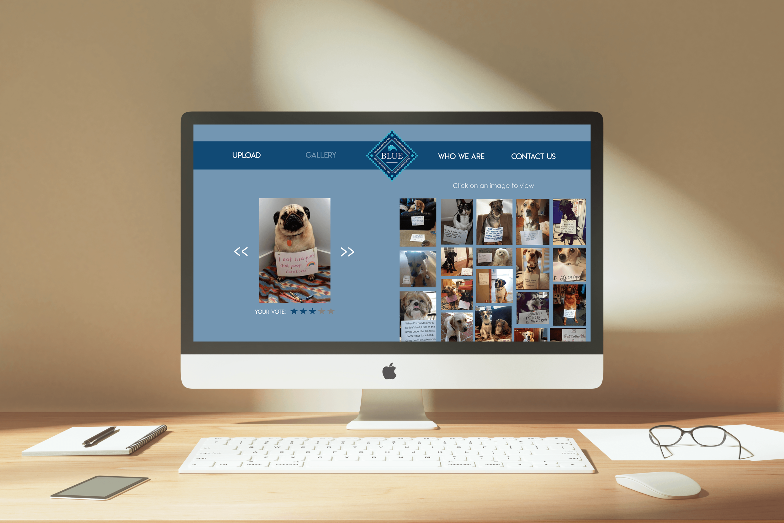 Microsite: Gallery