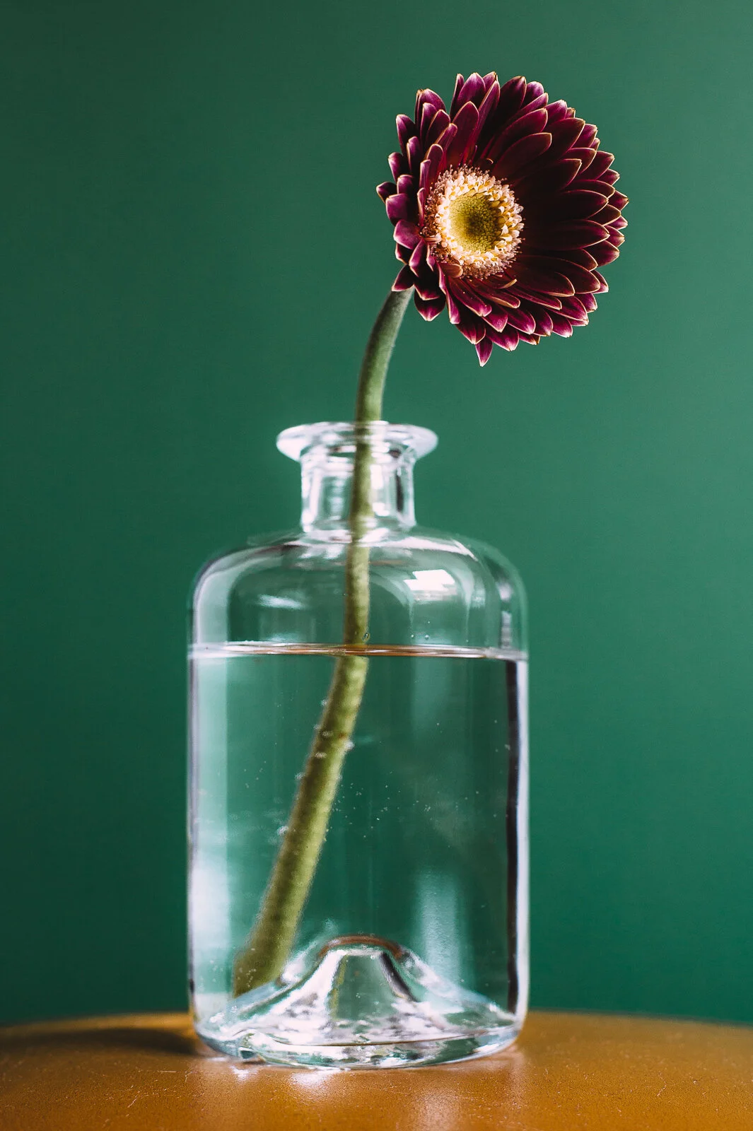 Blume.jpg