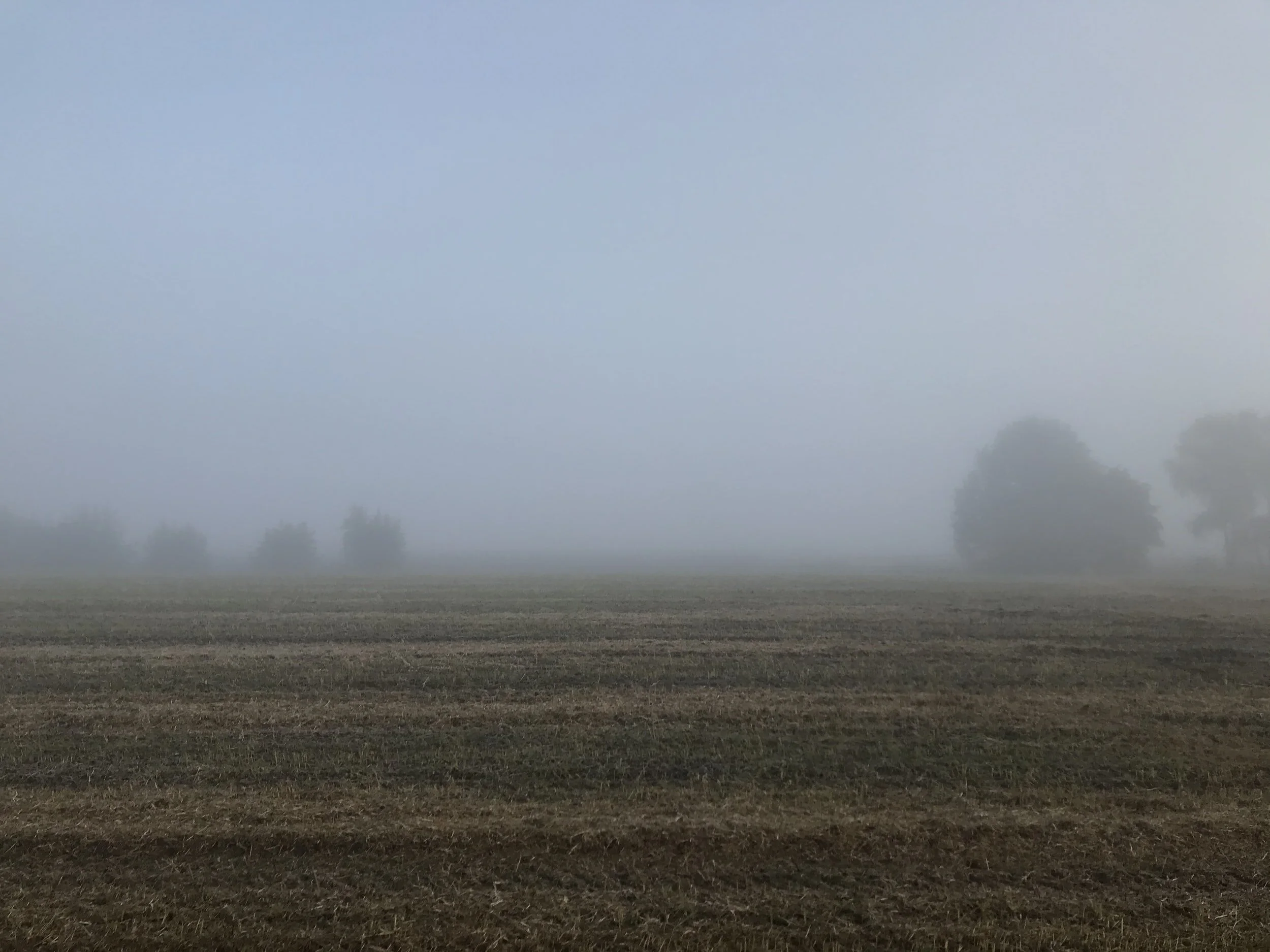 Is rouw liefde die nergens heen kan, of...?