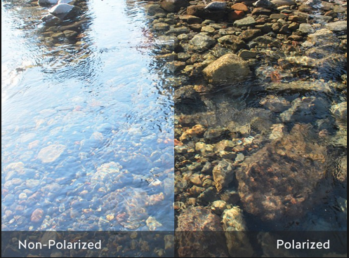 polarized sunglasses see through water