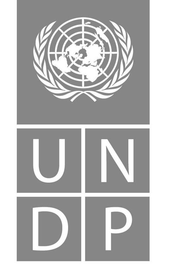 UNDP-Logo-Blue-Large.jpg