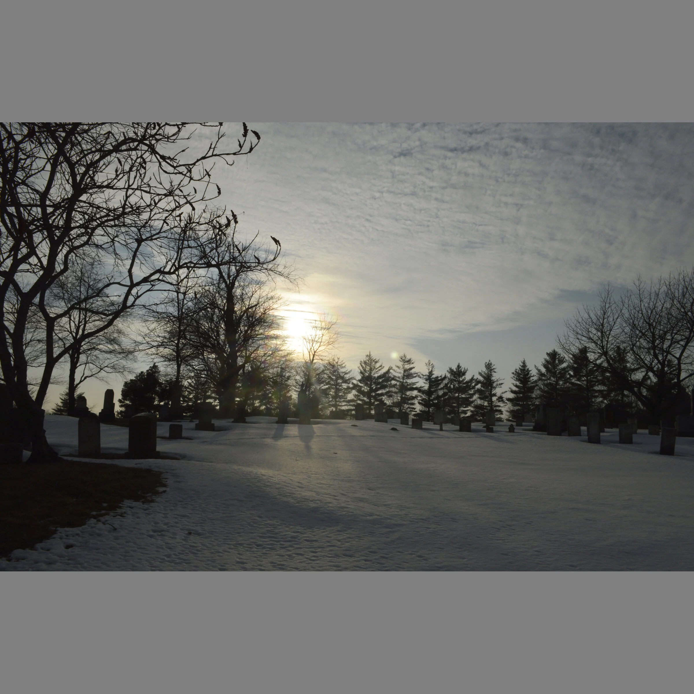 _DSC4764EDITED.jpg