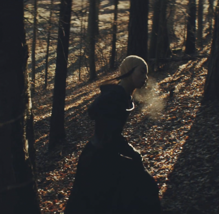 Shenie Fogo - Promo video