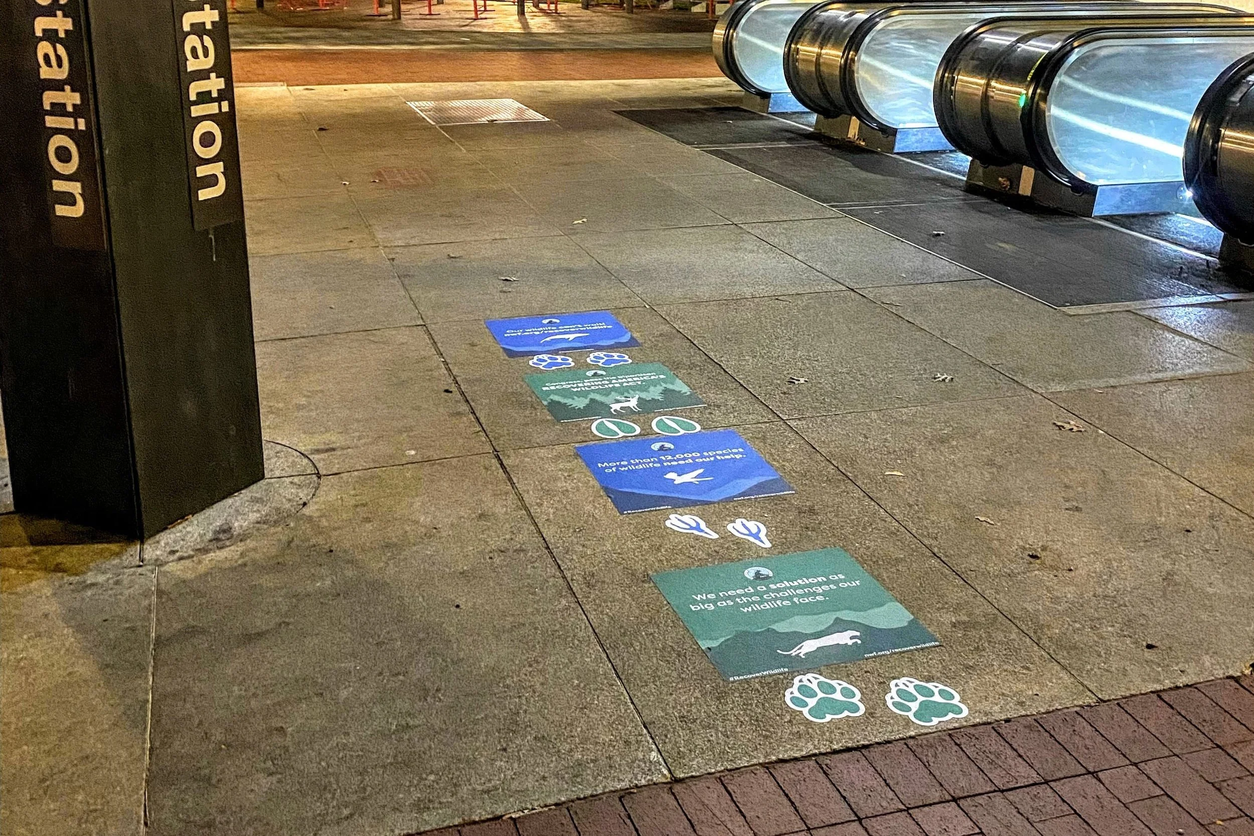 THE NATIONAL WILDLIFE FEDERATION BRINGS ATTENTION TO DC WITH FOOTPRINT SIDEWALK DECALS