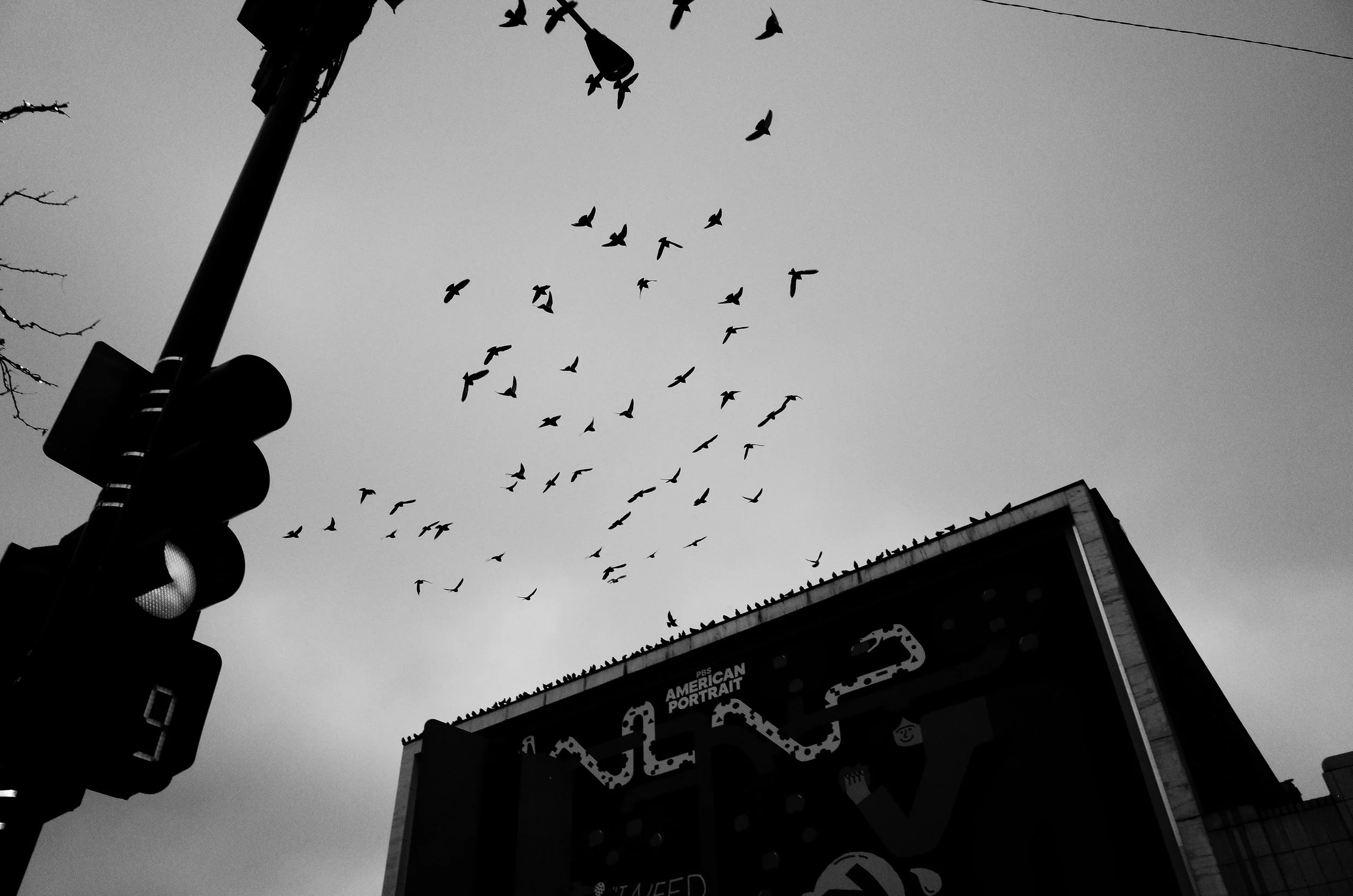 R0001266.jpg