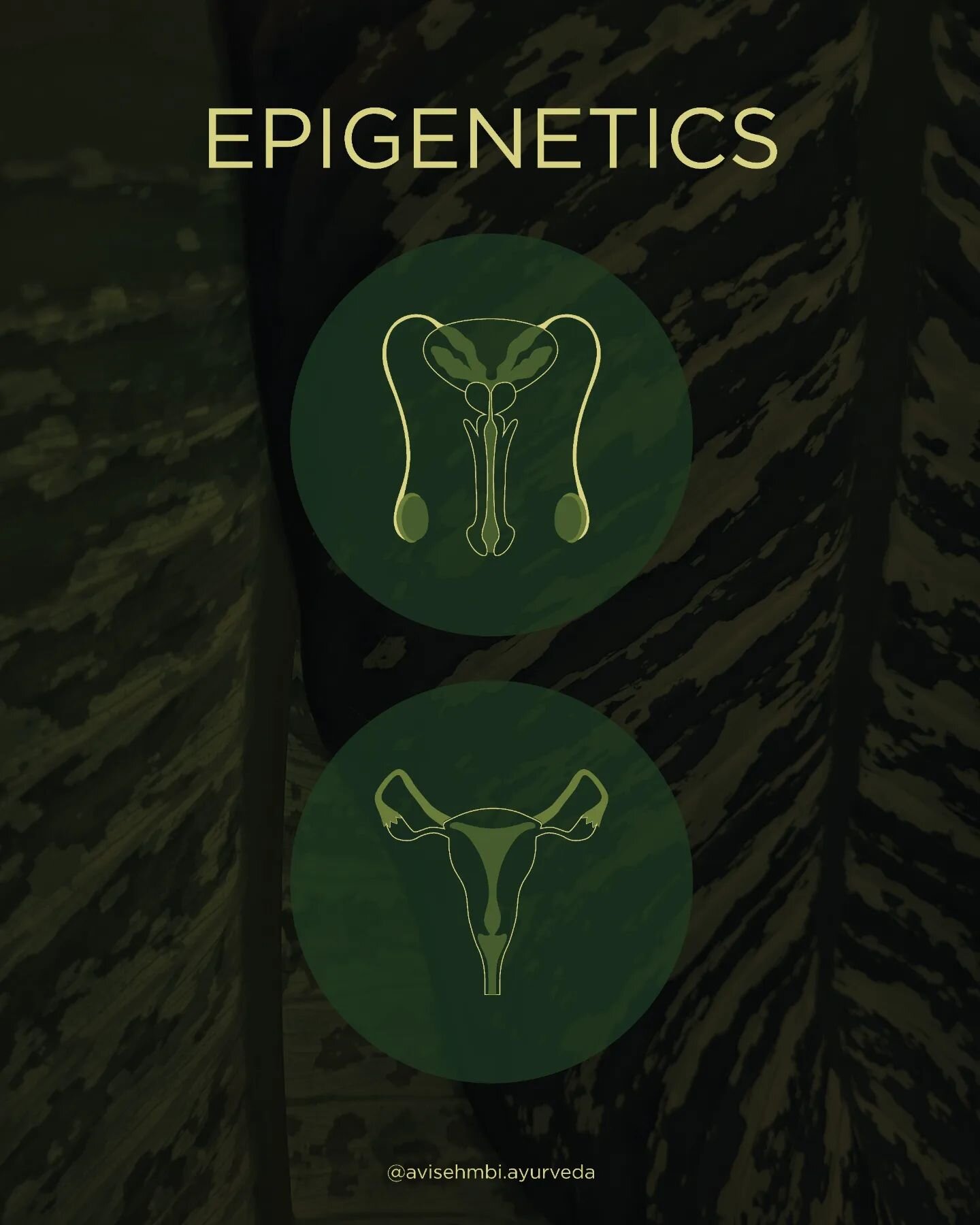 &quot;Epigenetics is&nbsp;the study of how your behaviors and environment can cause changes that affect the way your genes work. Unlike genetic changes, epigenetic changes are reversible and do not change your DNA sequence, but they can change how yo