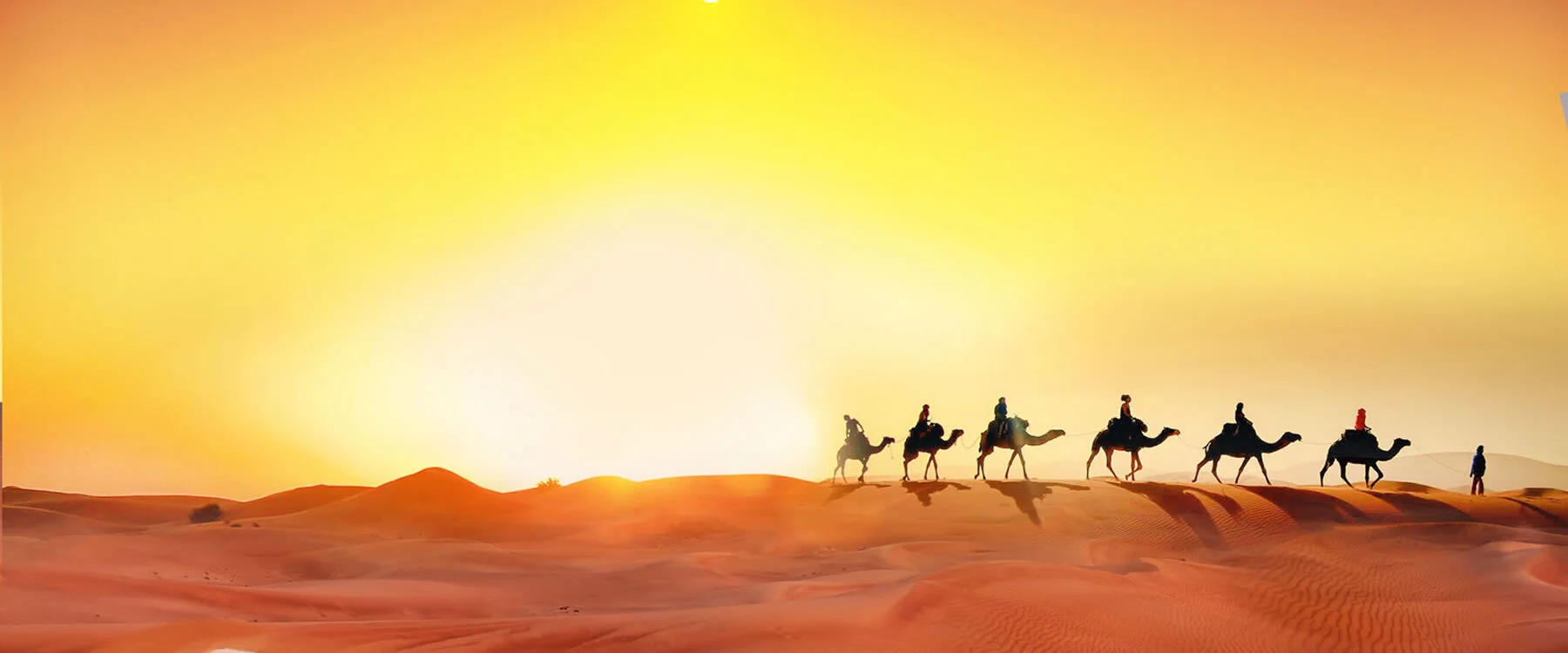 banner.sunset.safari.camel_.ride_.jpg